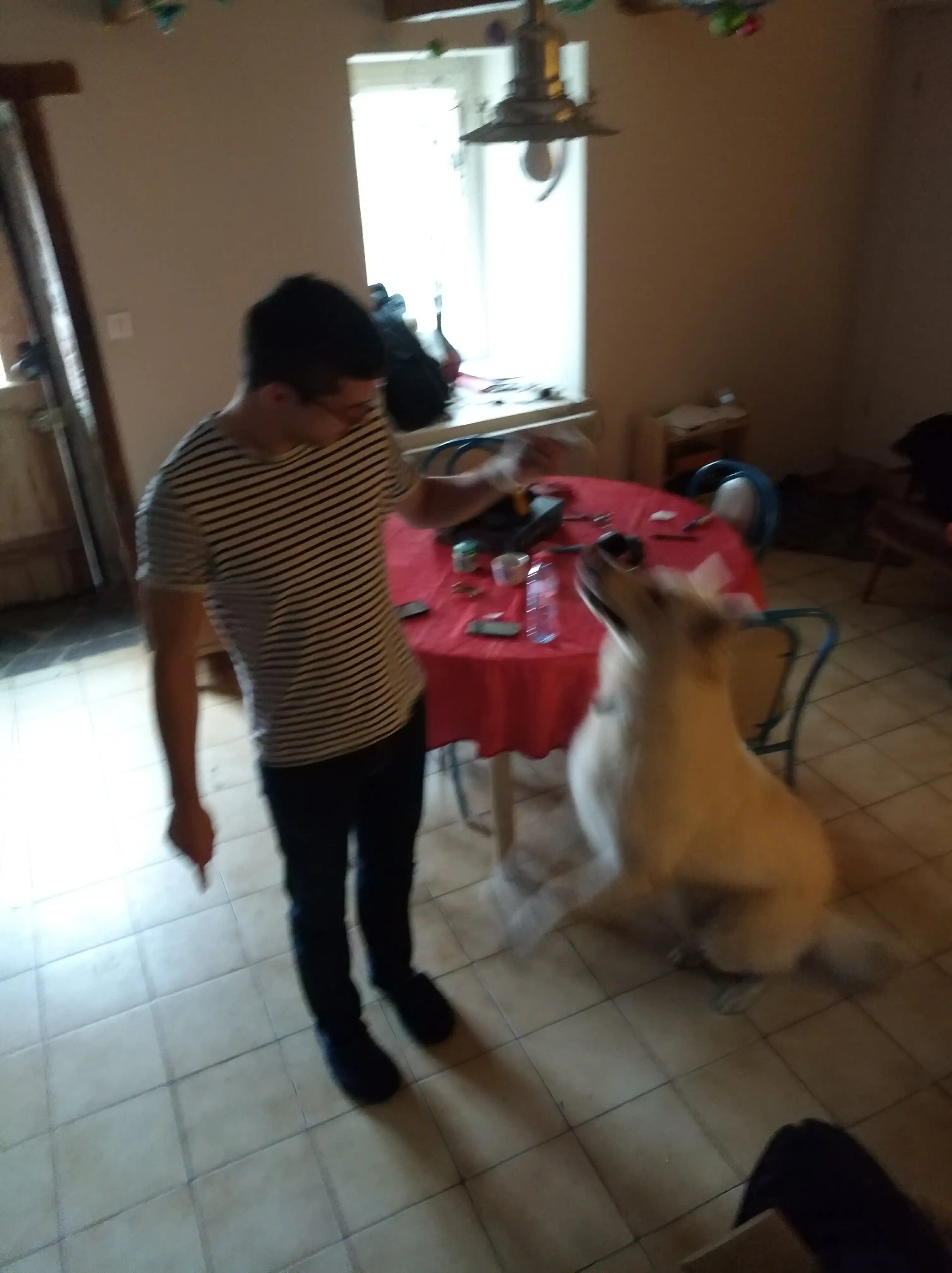 image-8