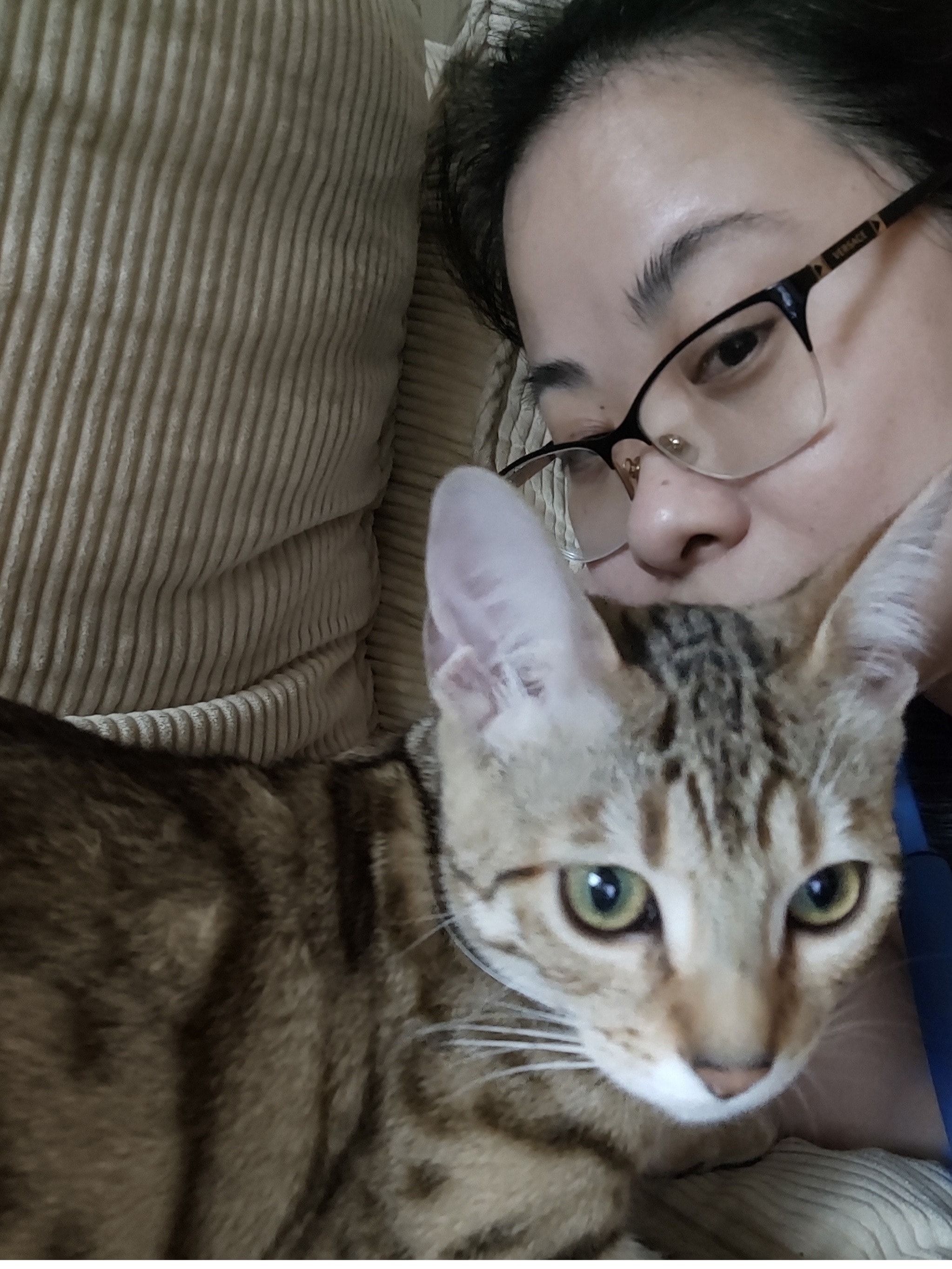 image-8