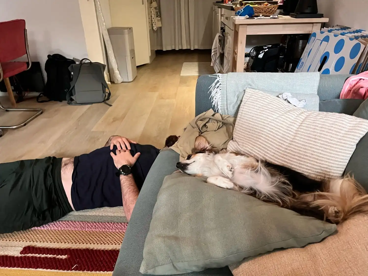 image-8