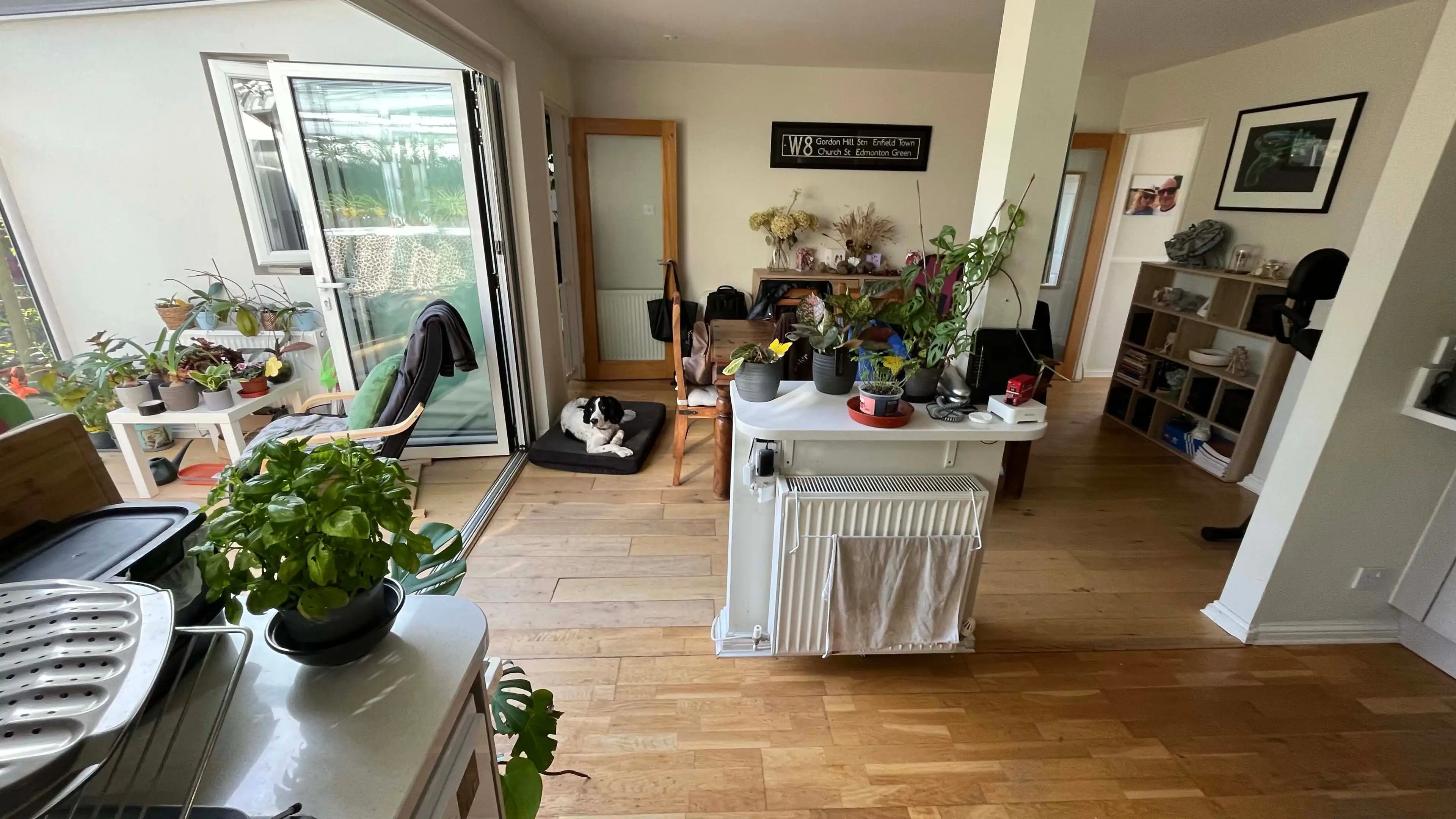 image-16