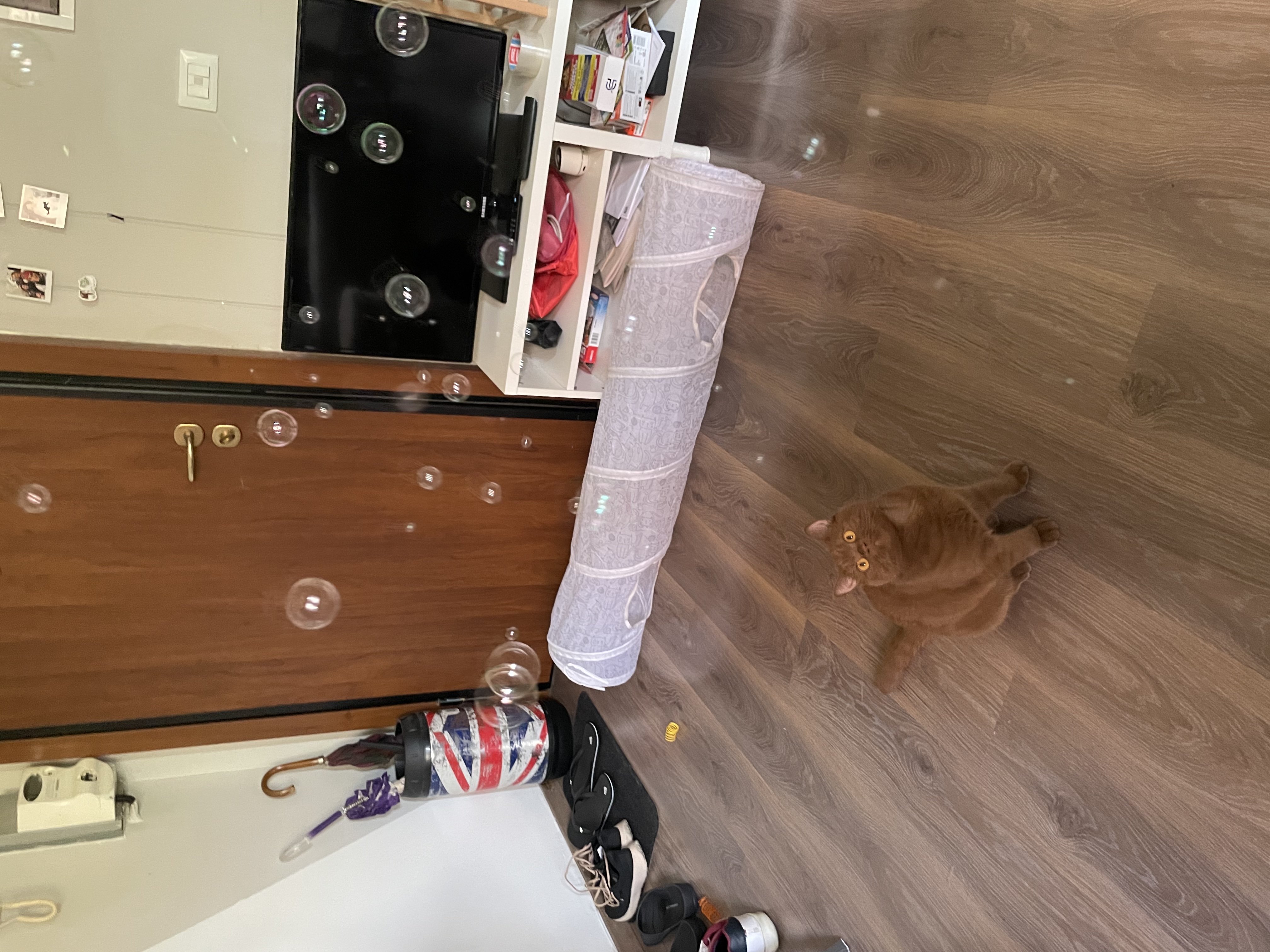 image-7