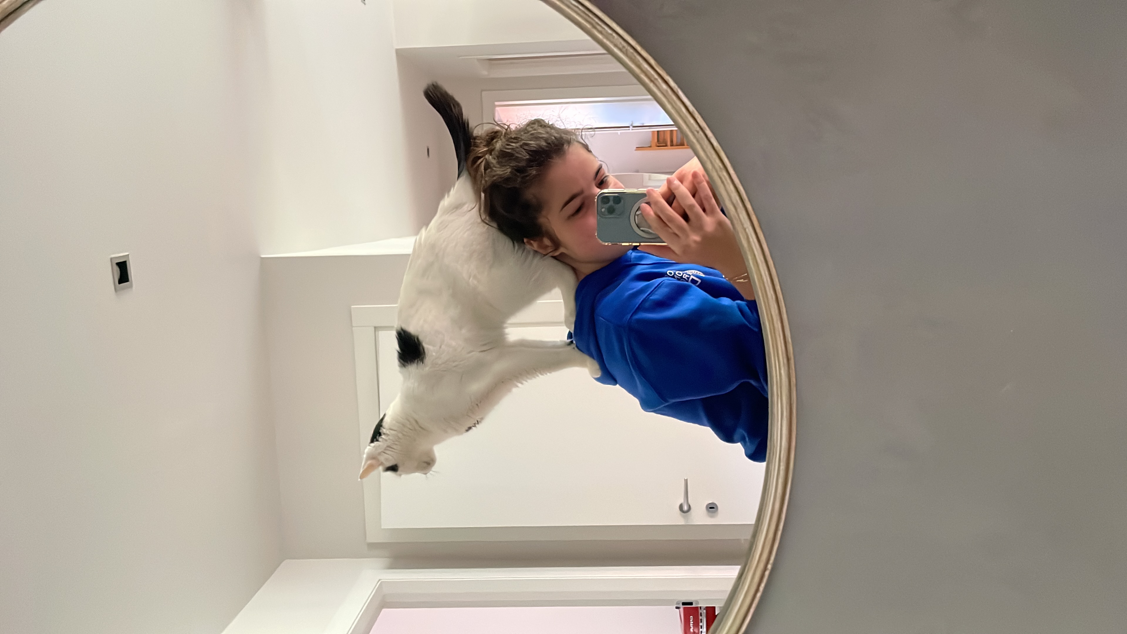 image-6