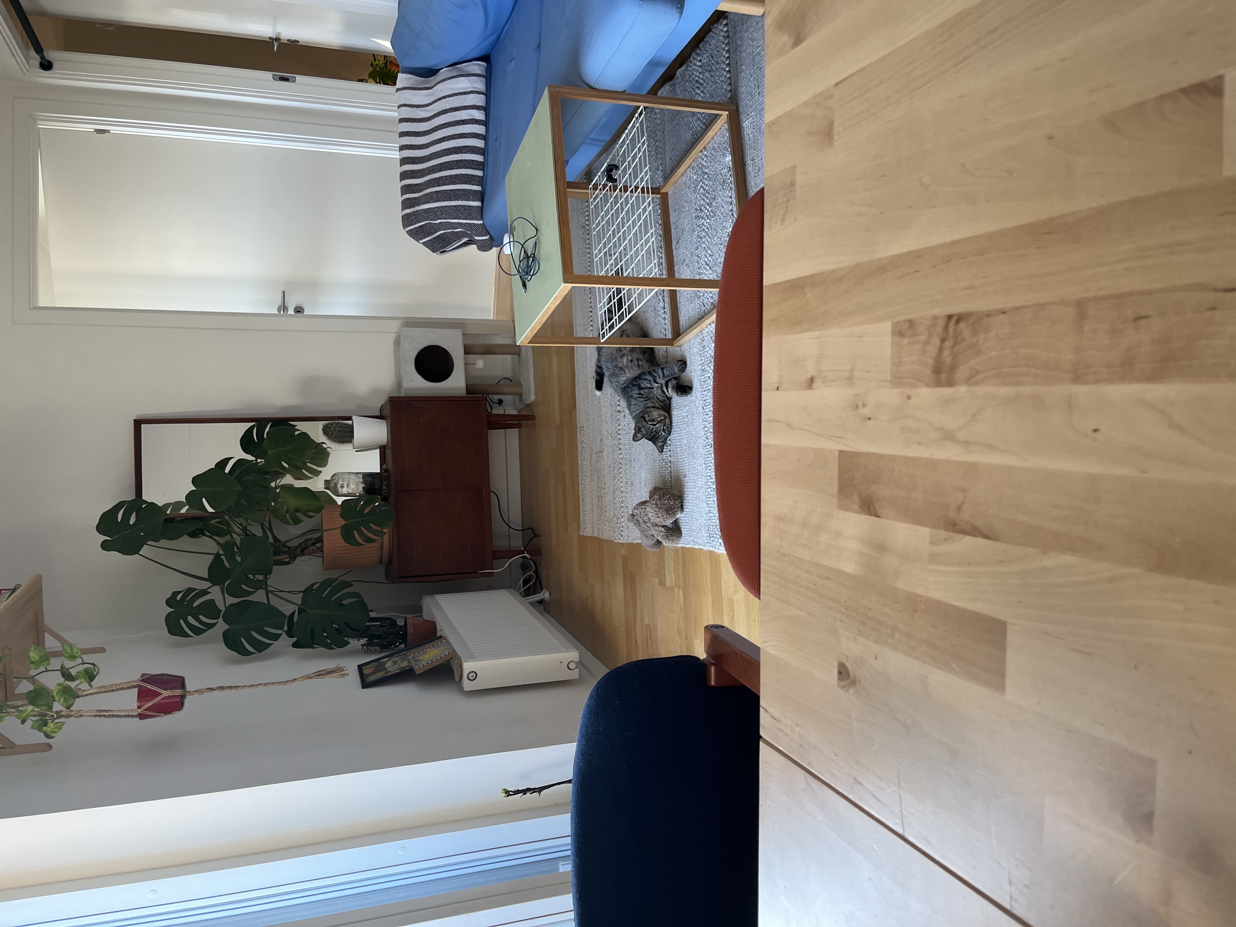 image-15