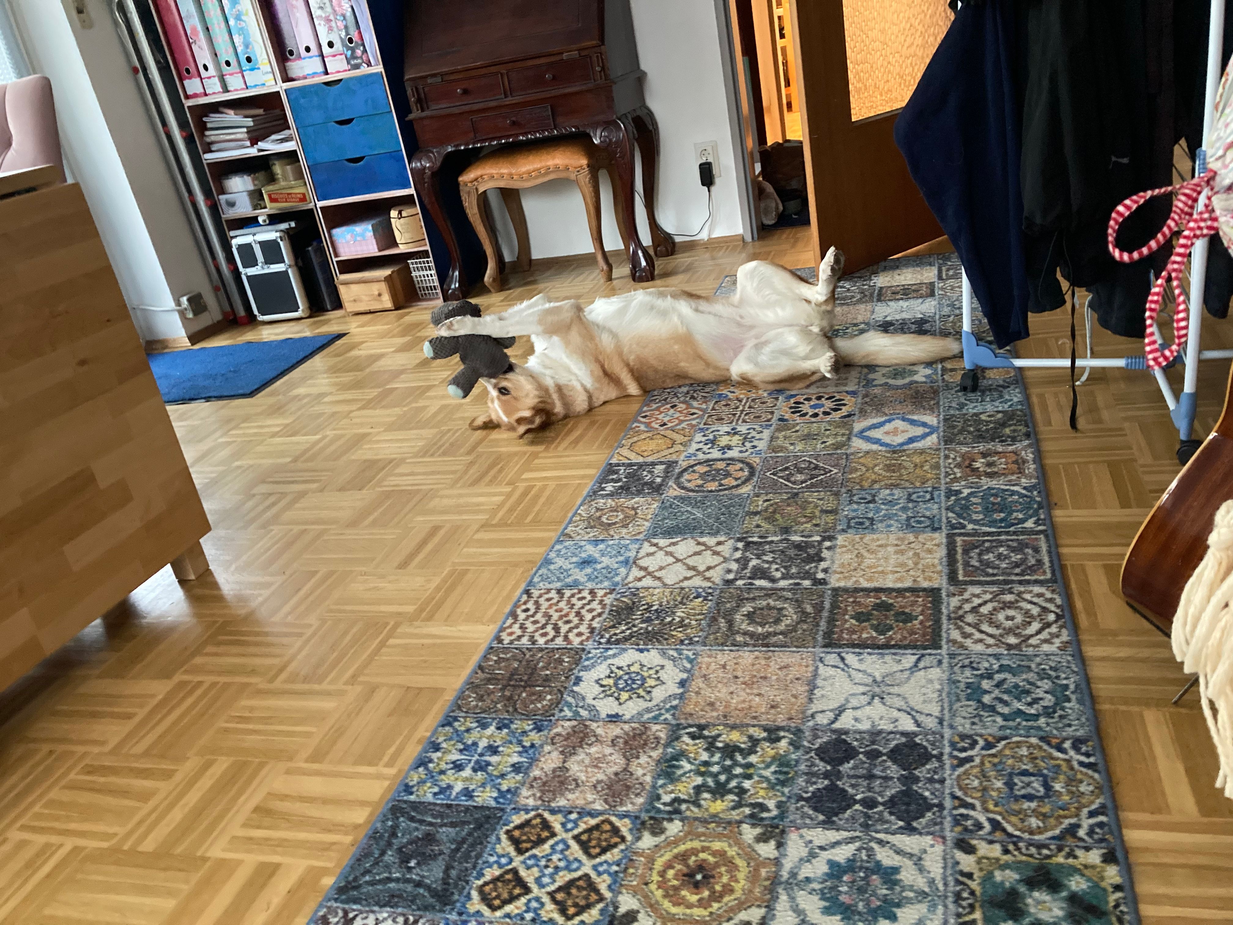 image-12