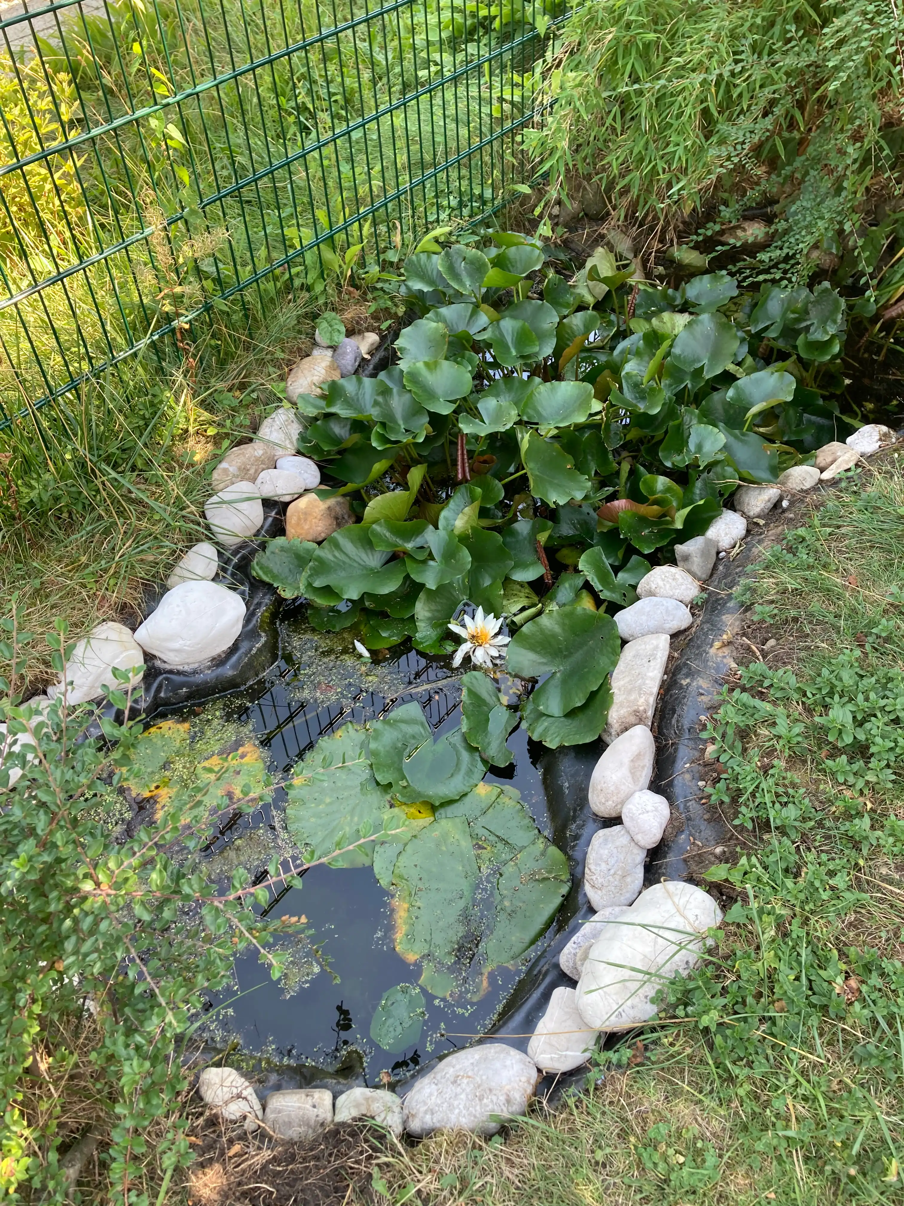 image-9