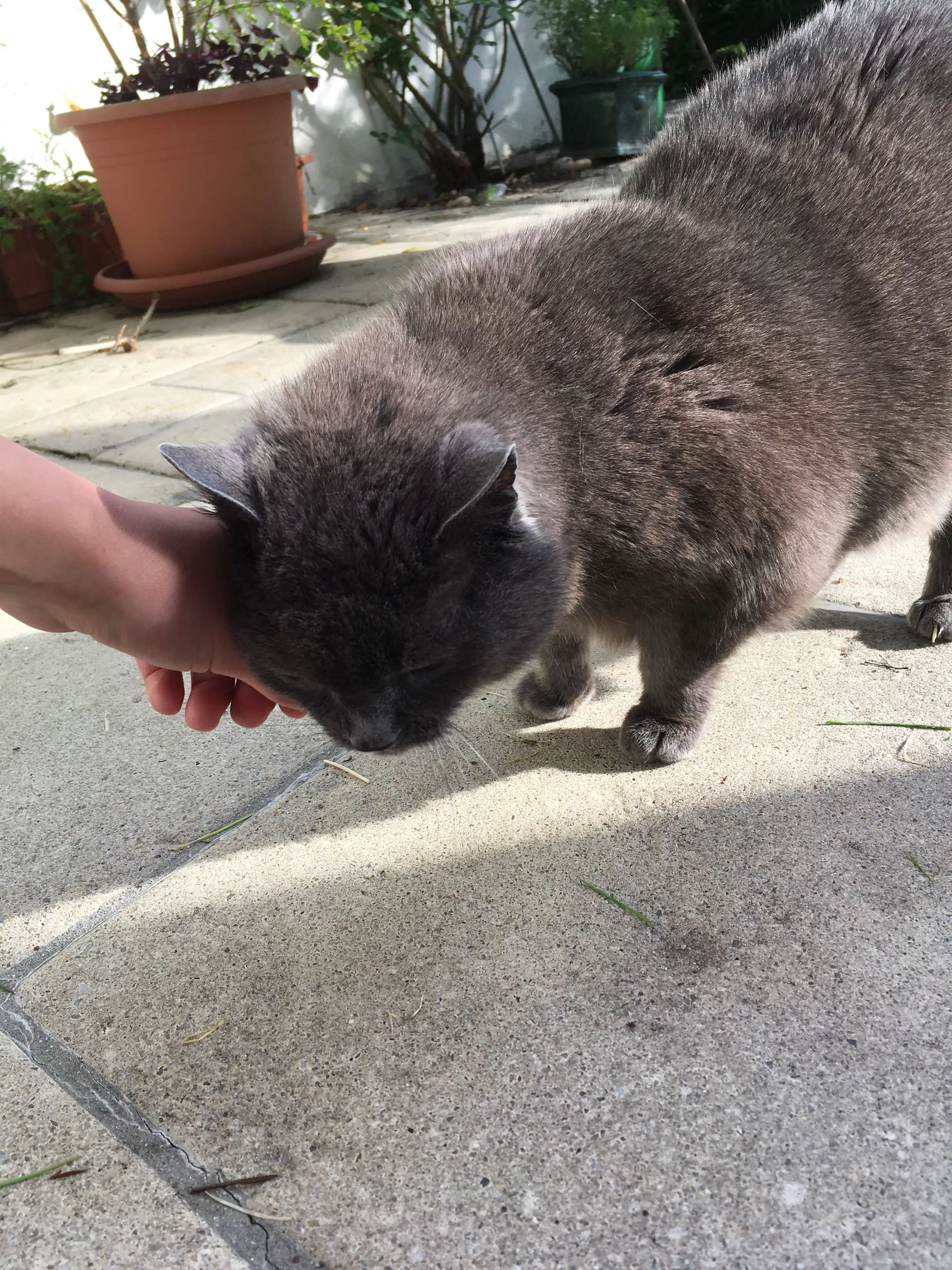 image-13