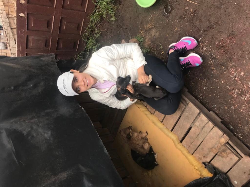 image-4