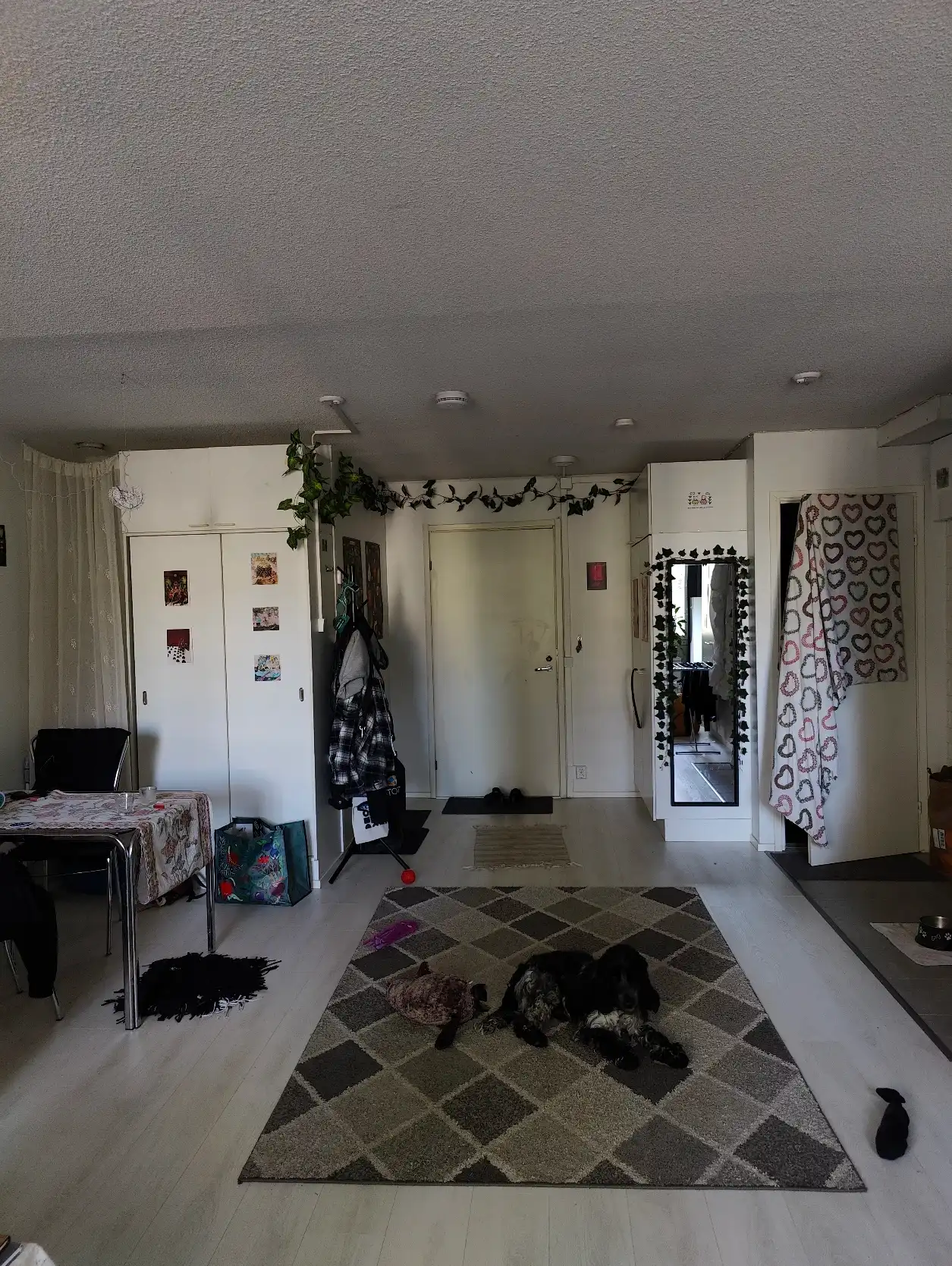 image-16