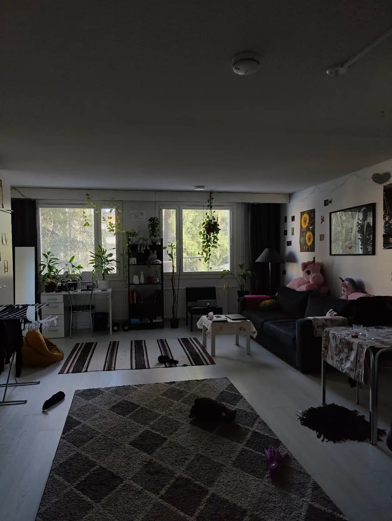 image-14