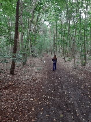 image-7