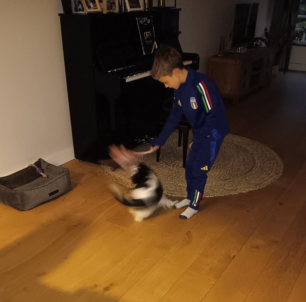 image-8
