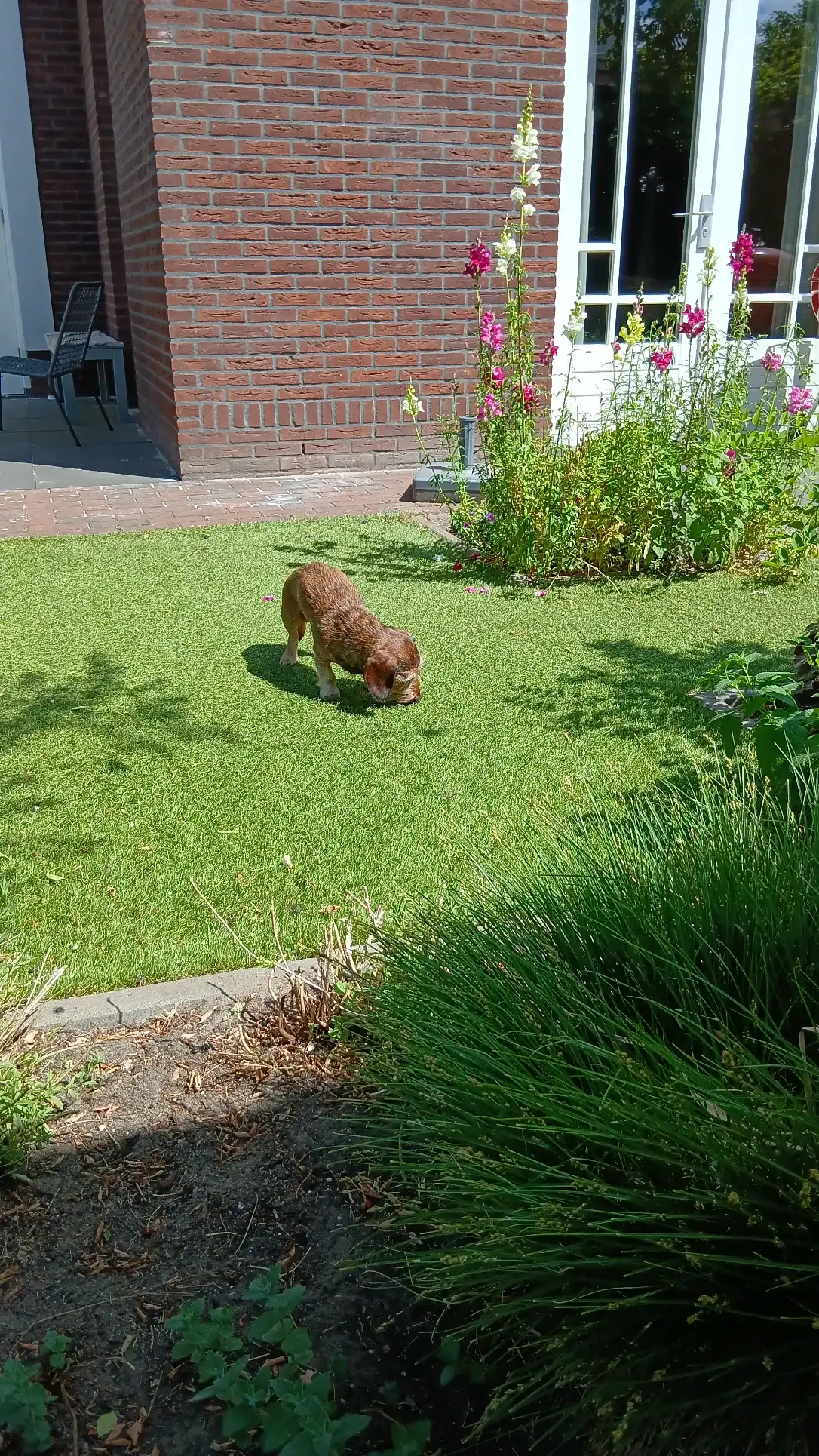 image-11