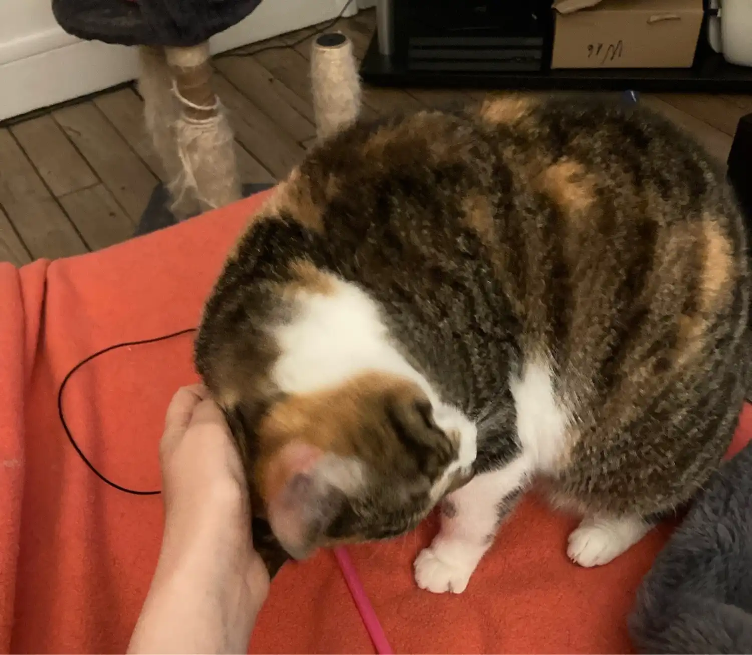 image-12