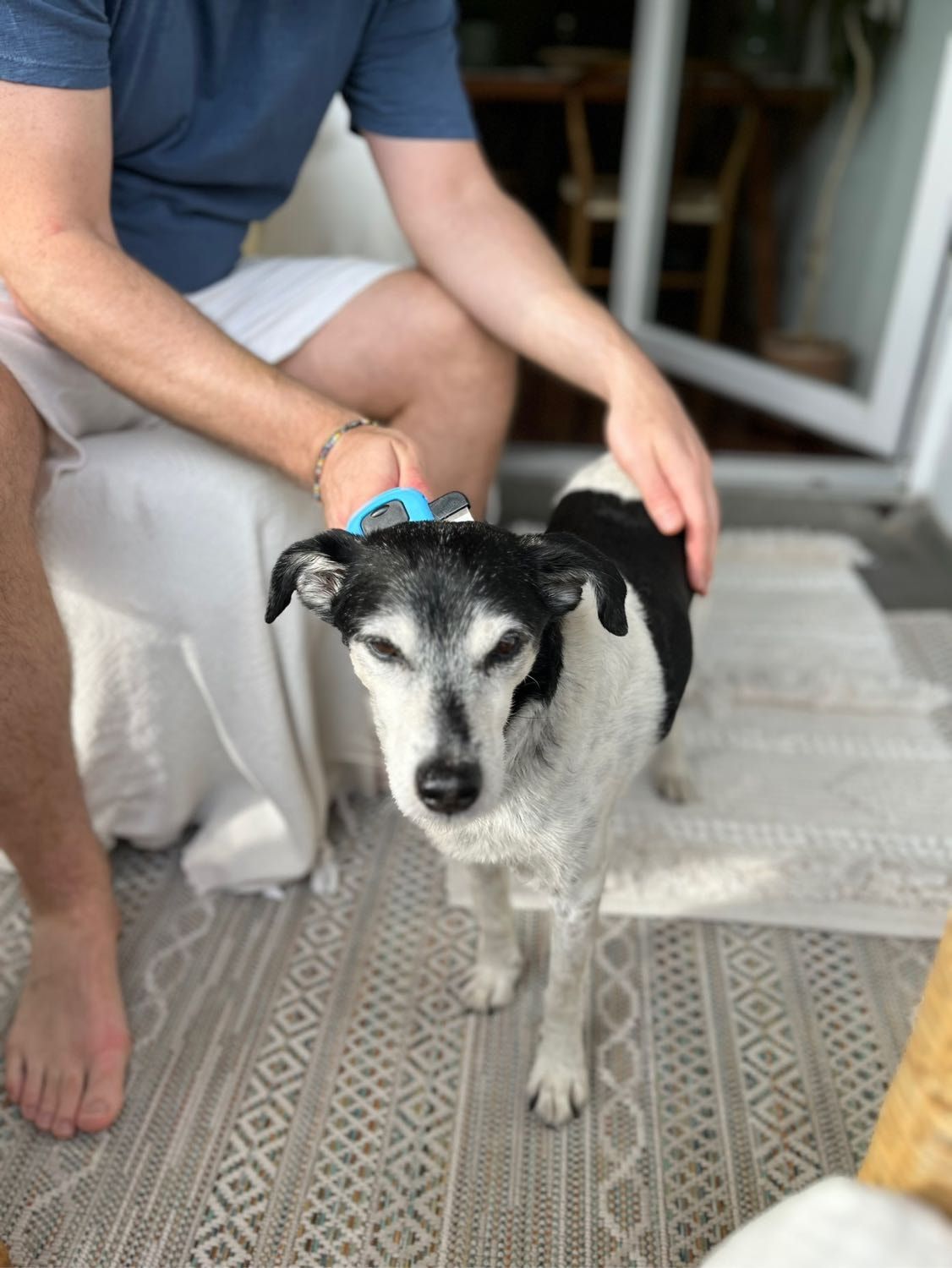 image-10