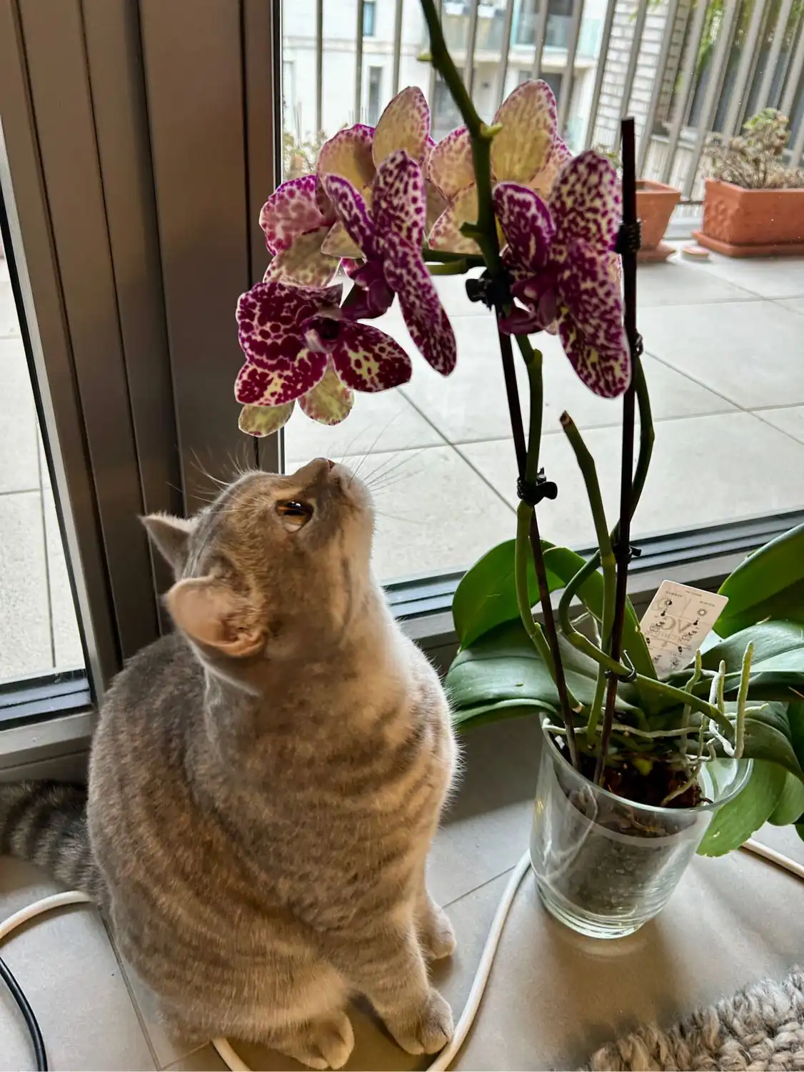 image-46