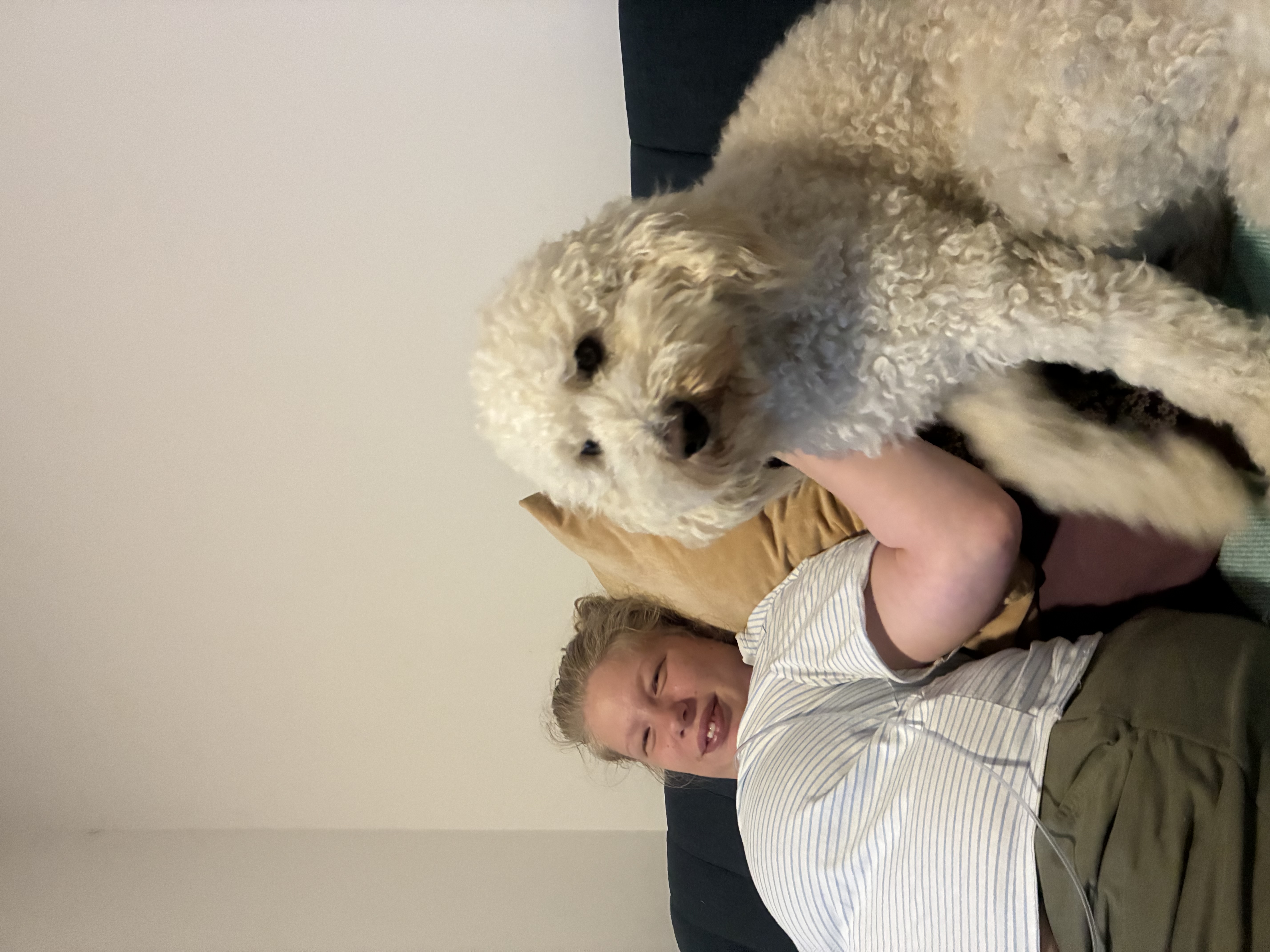image-12