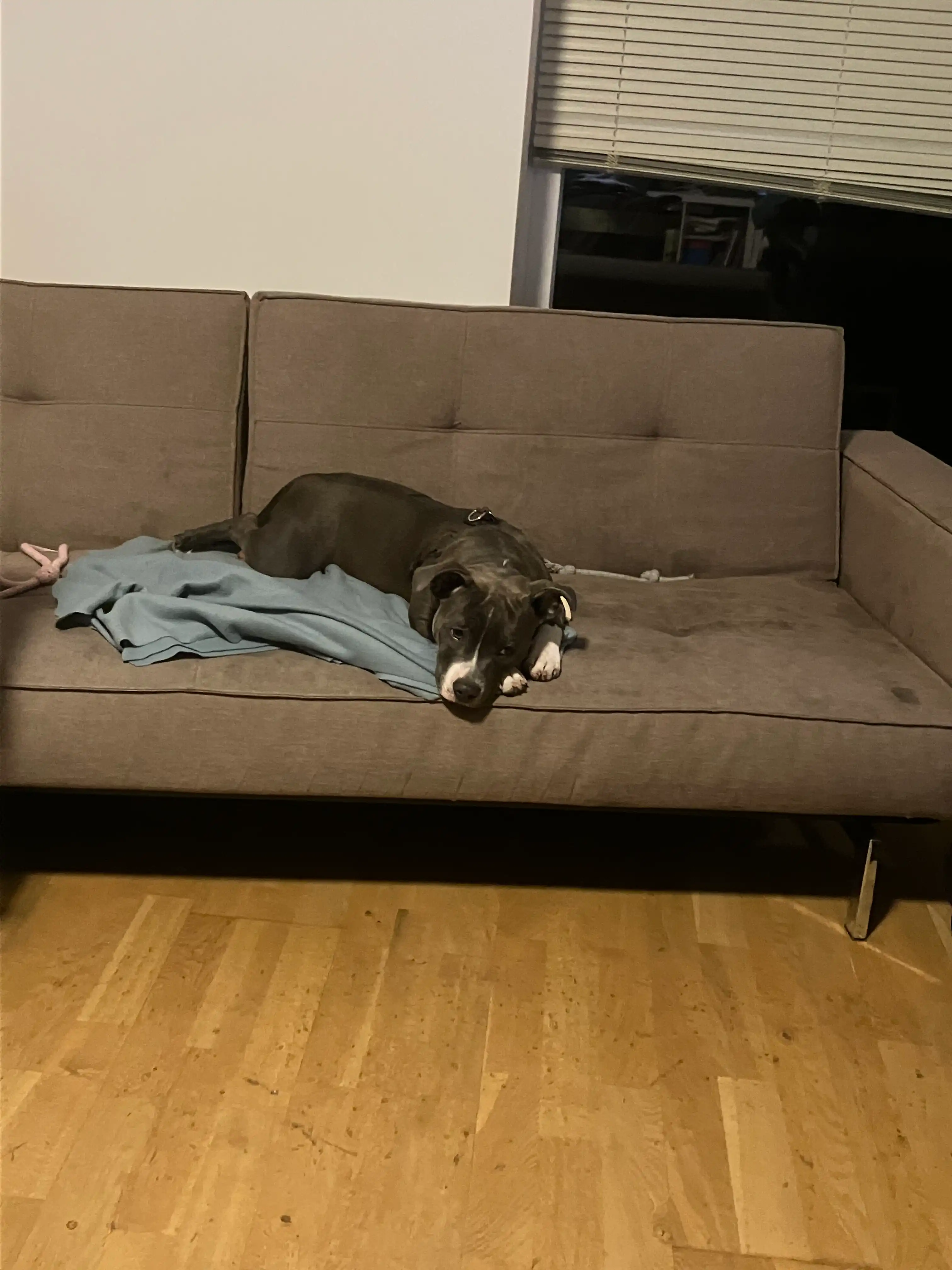 image-18
