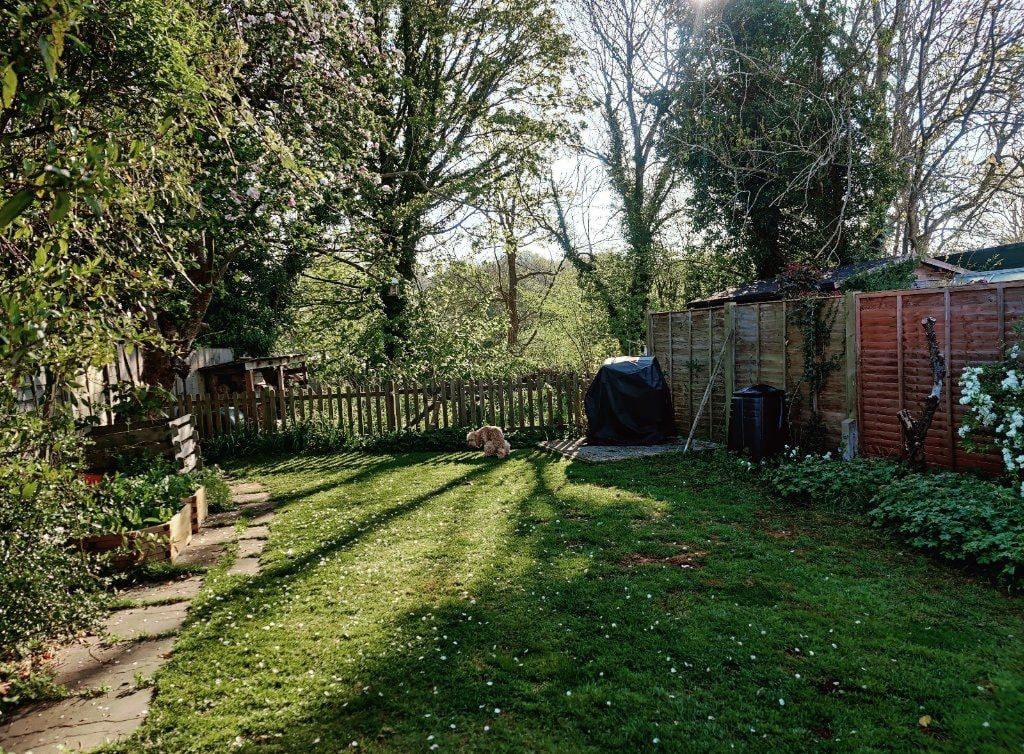 image-8
