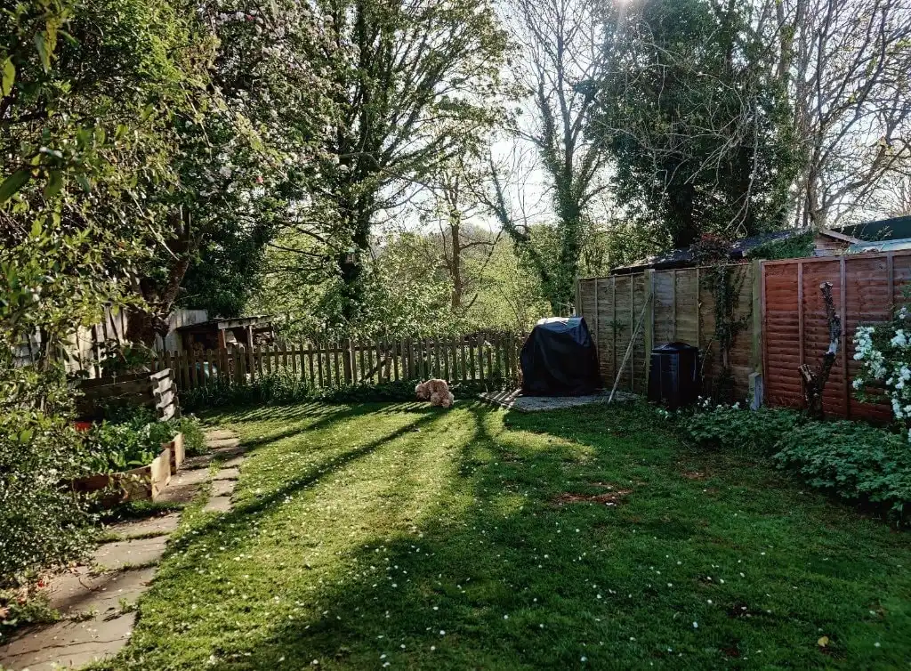 image-8