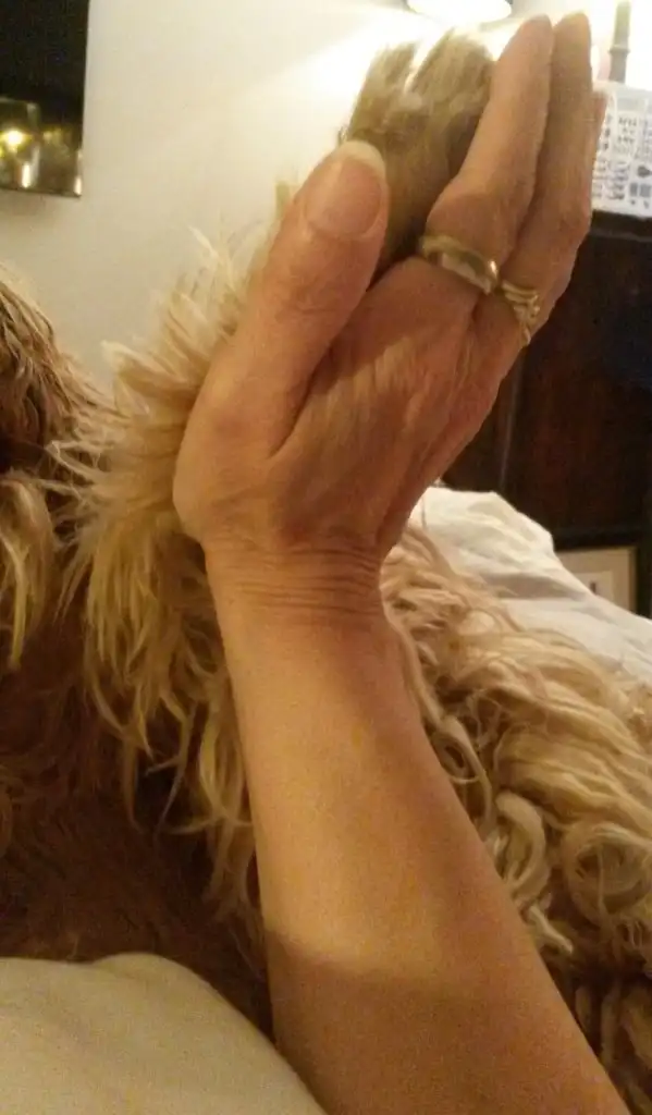 image-5