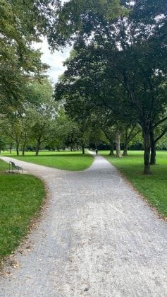image-37