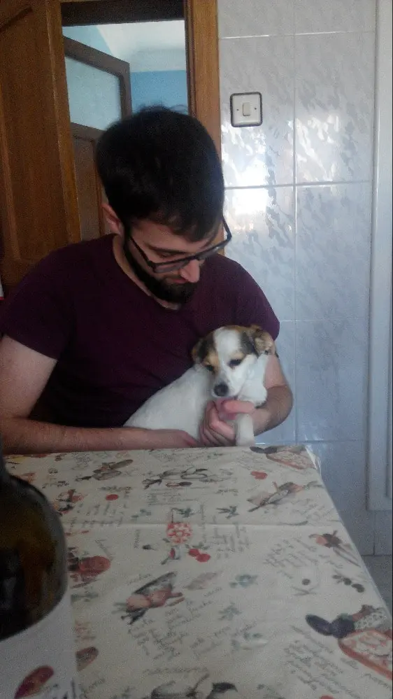 image-3