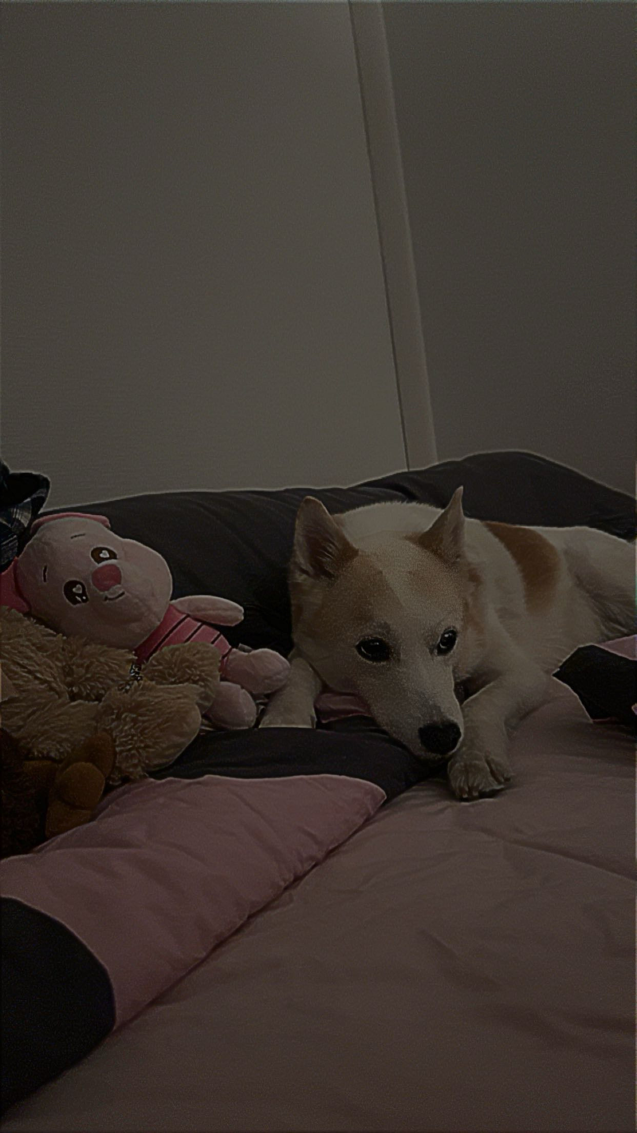 image-14