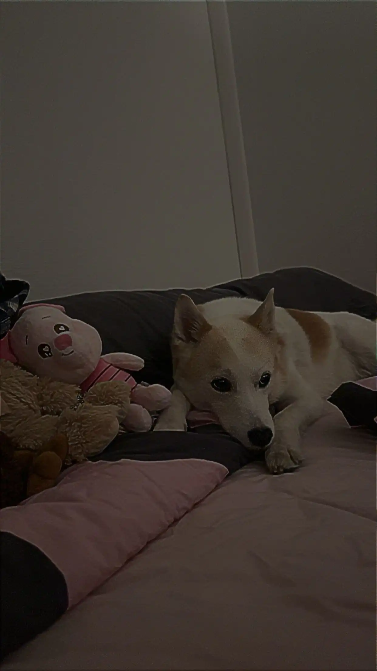 image-14