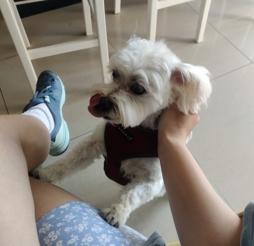 image-20