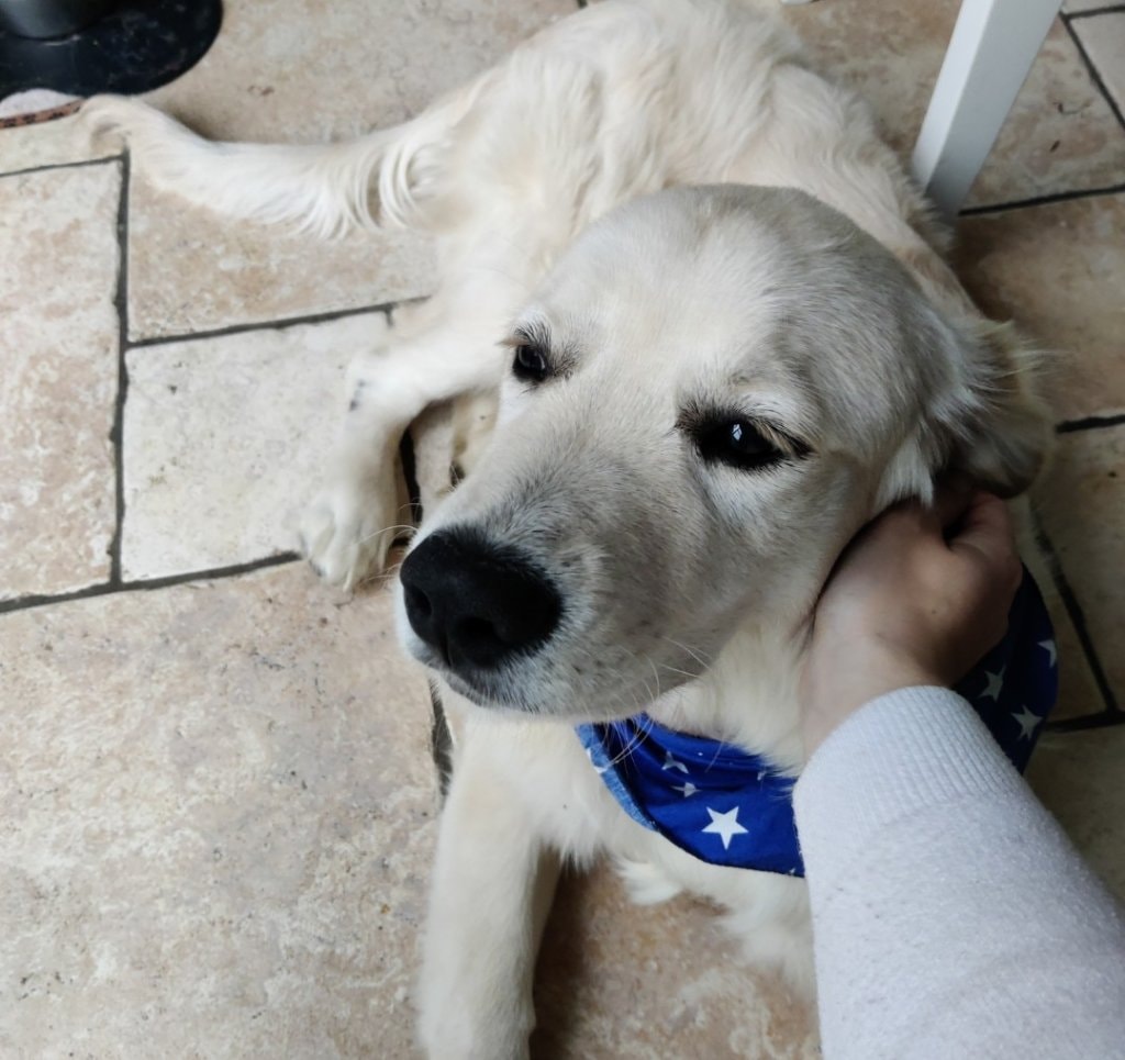 image-23