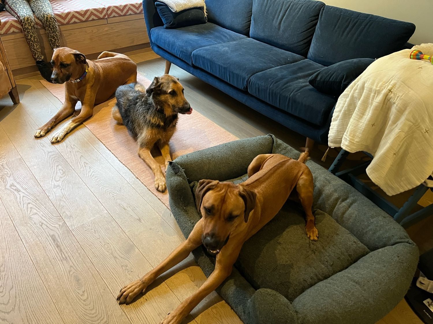 image-8
