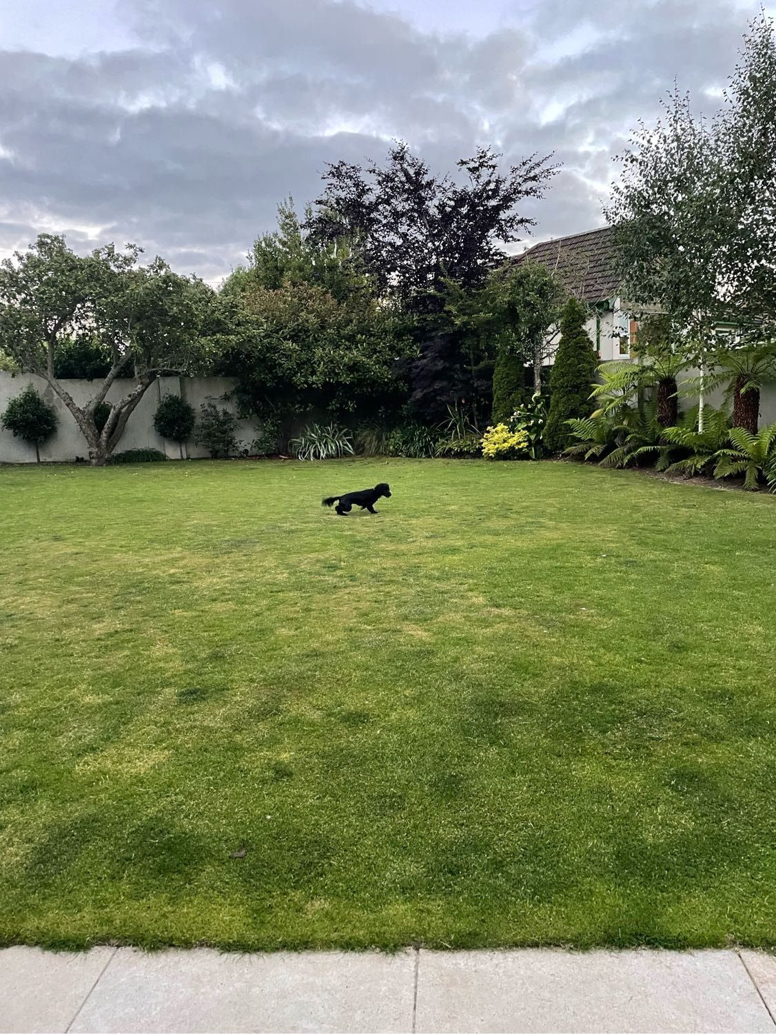 image-10
