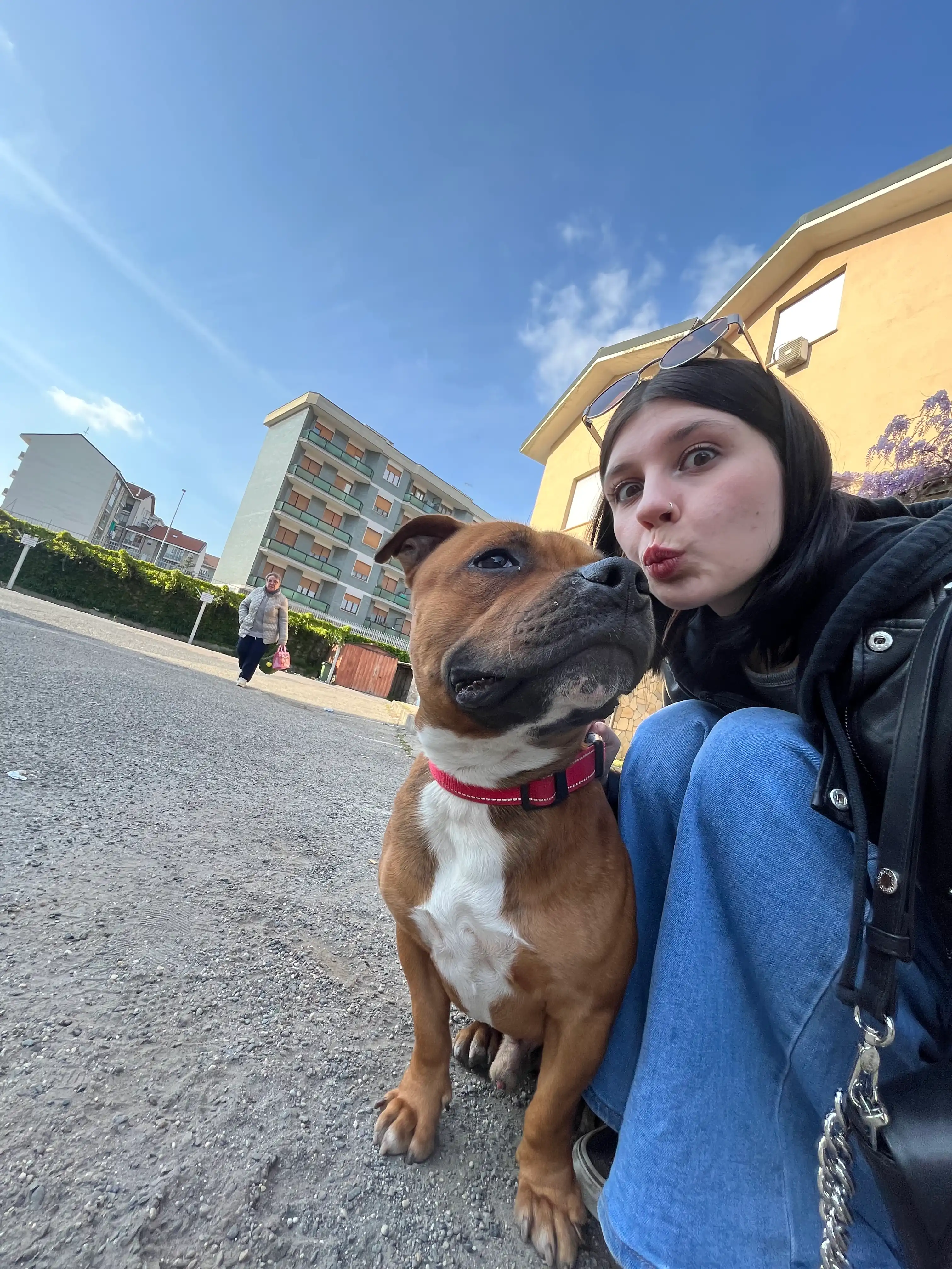 image-6