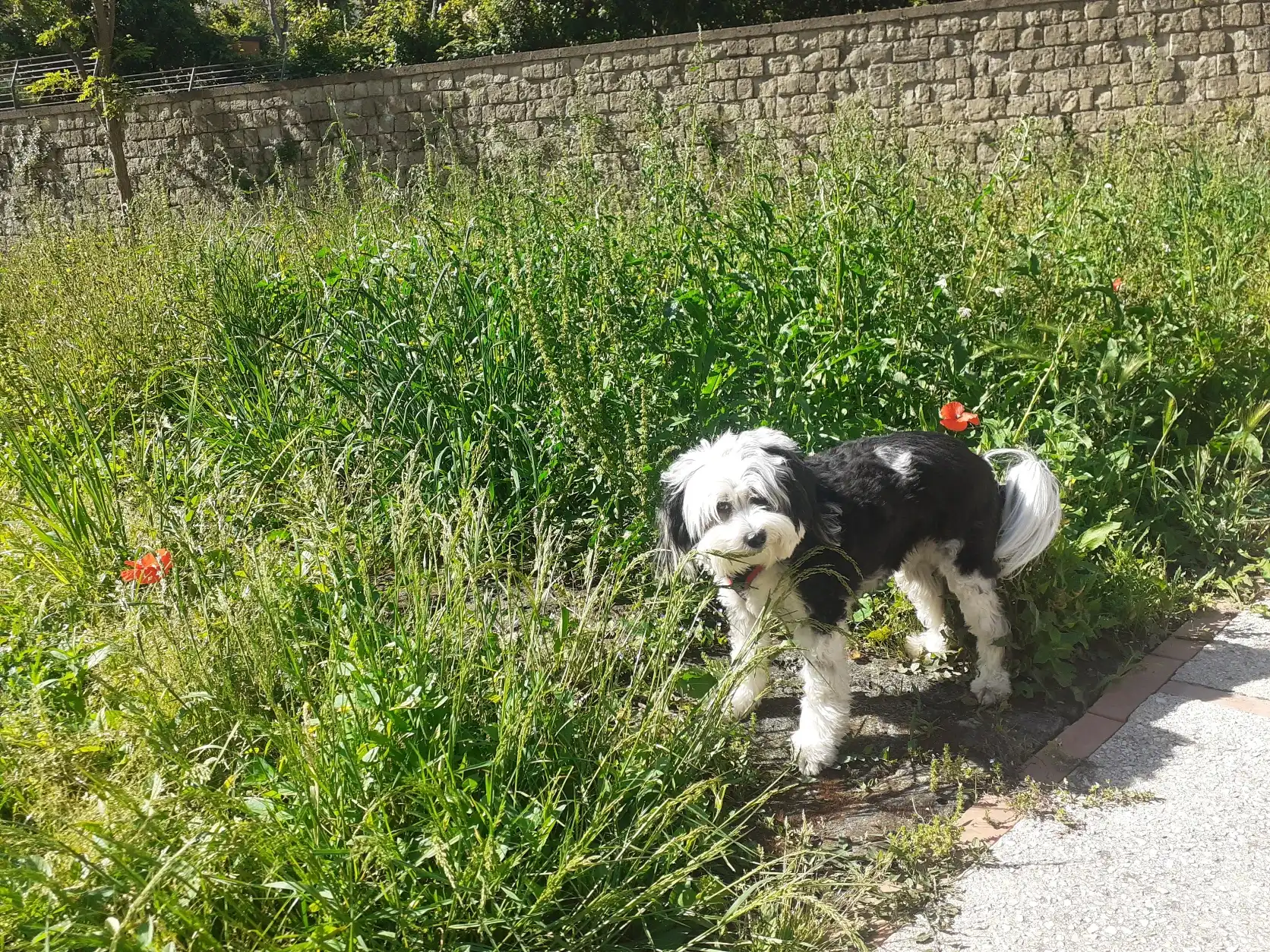 image-11