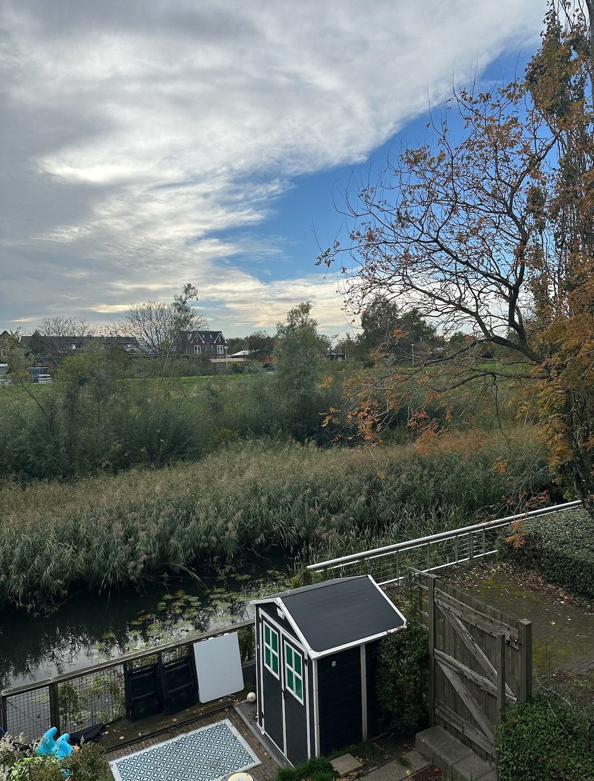 image-10