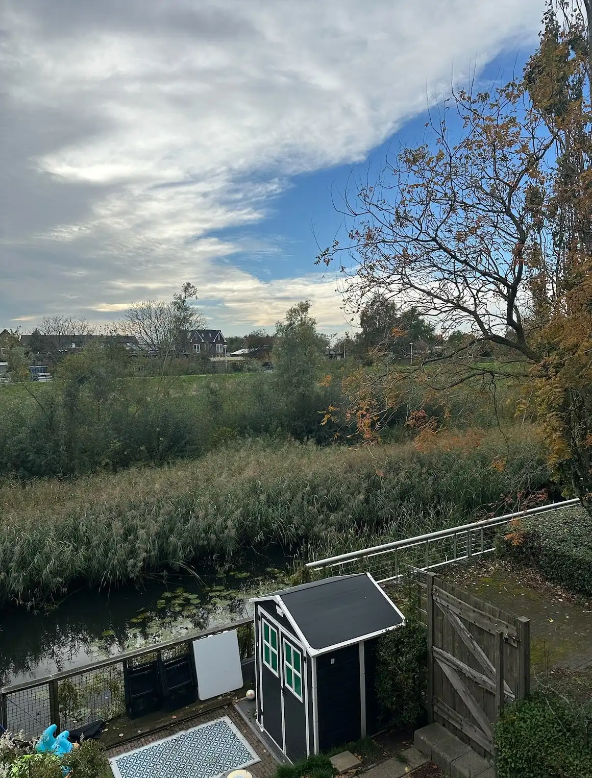 image-10