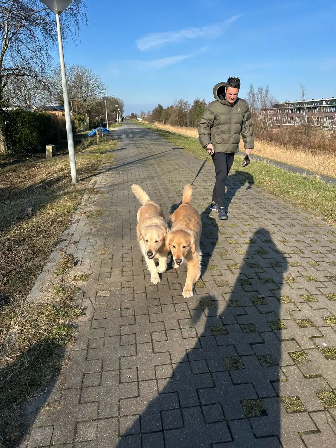 image-20