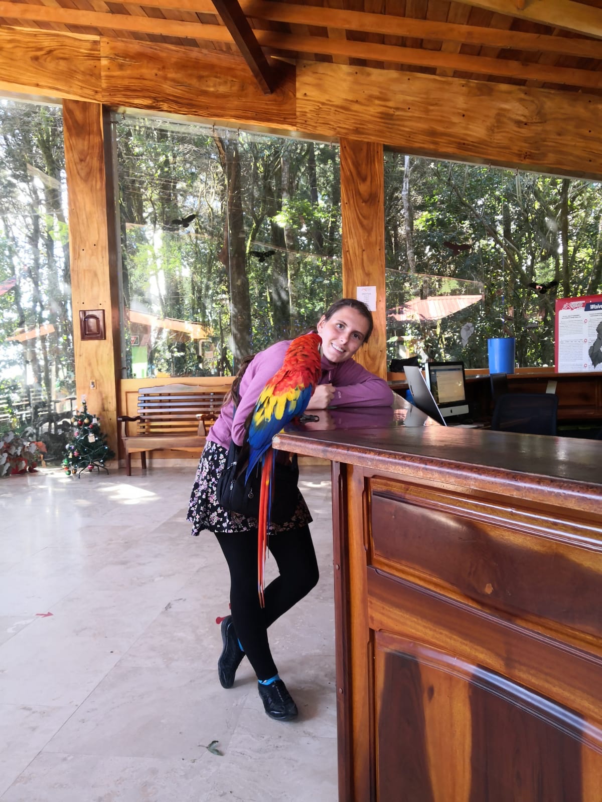 image-5