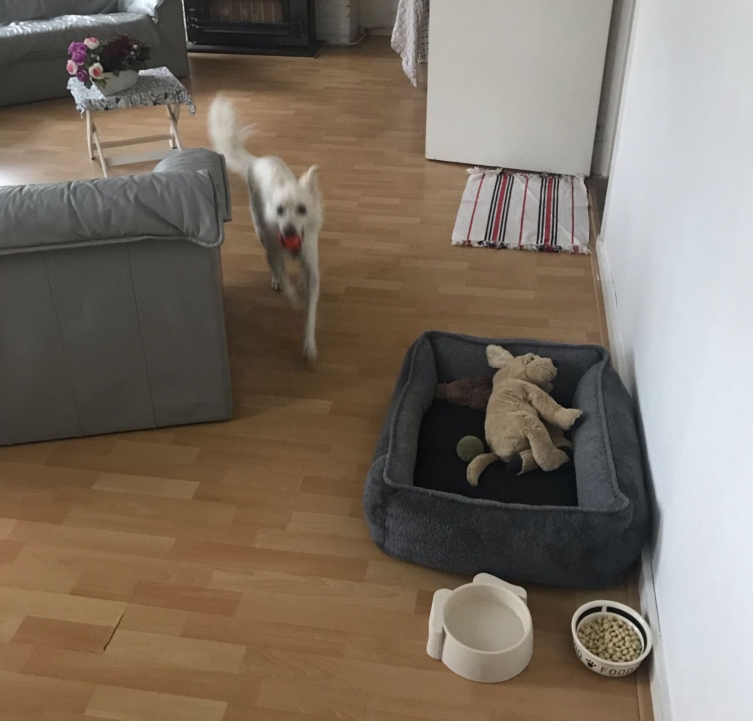 image-47