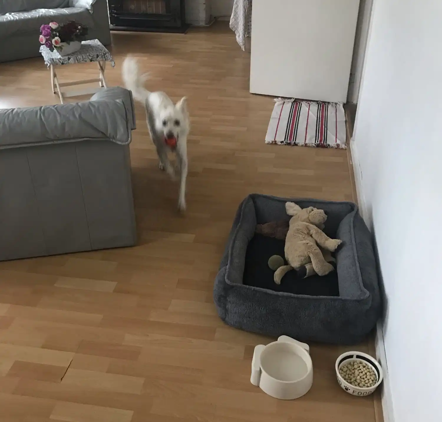 image-47