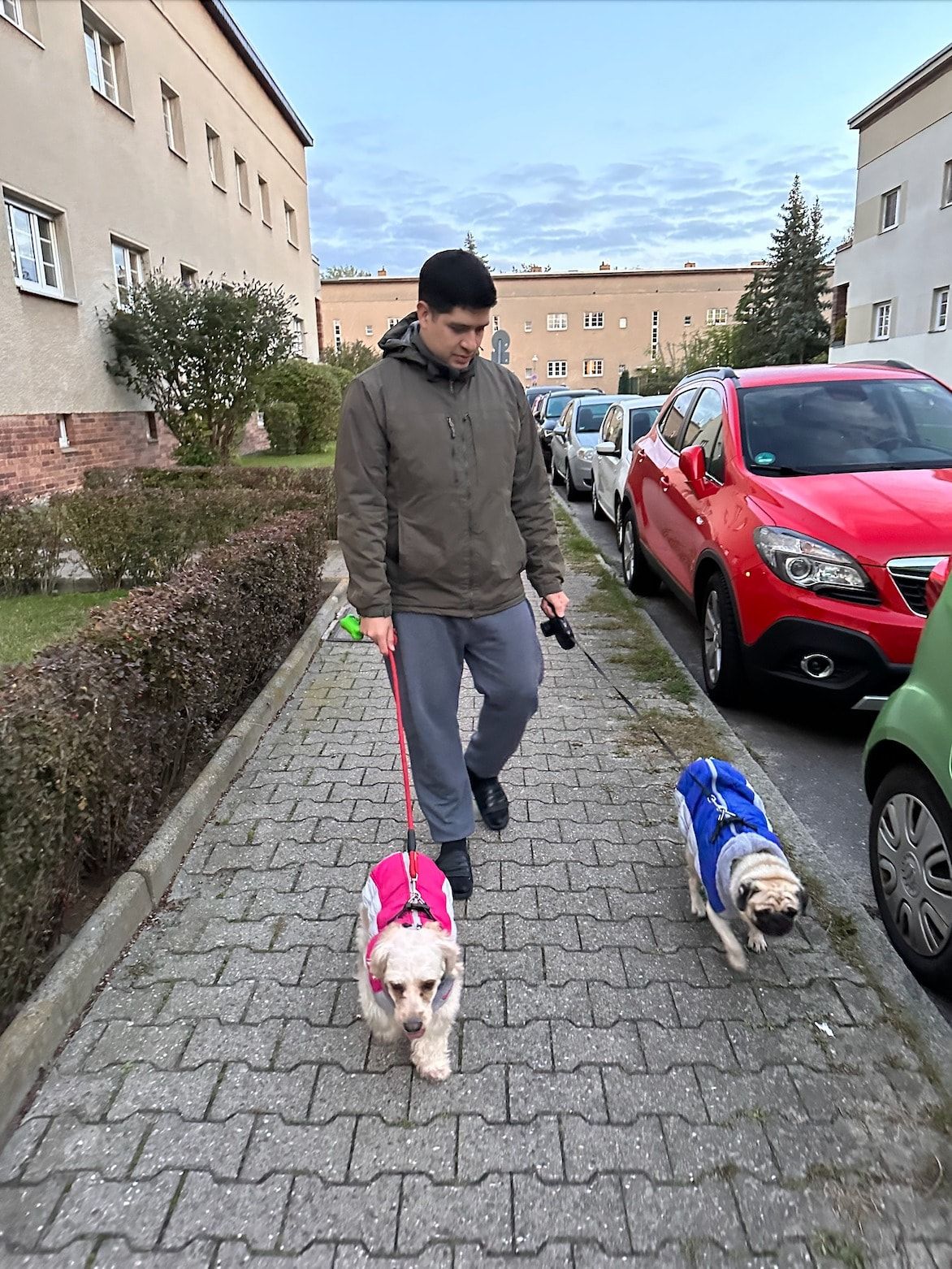 image-3