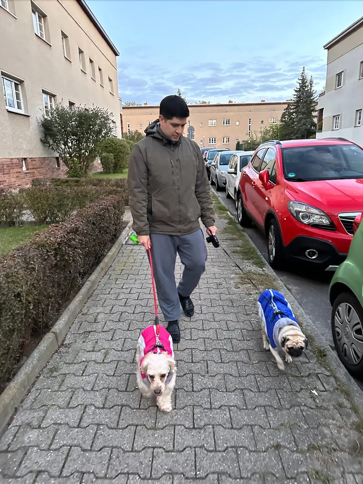 image-3