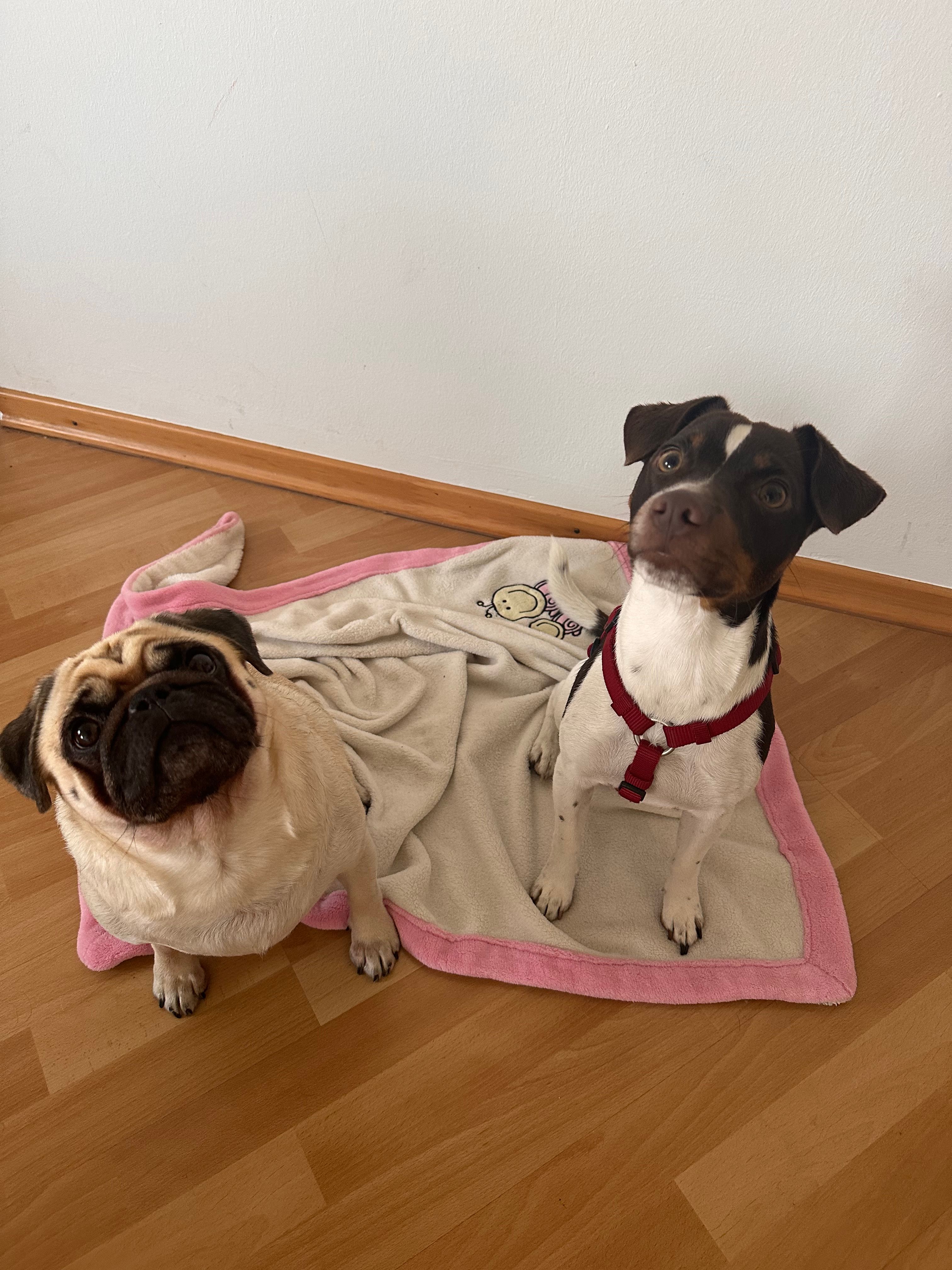 image-13