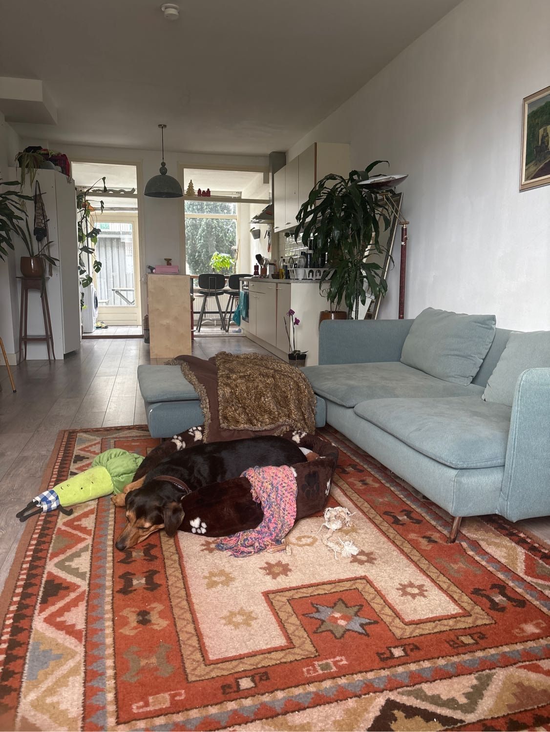 image-4