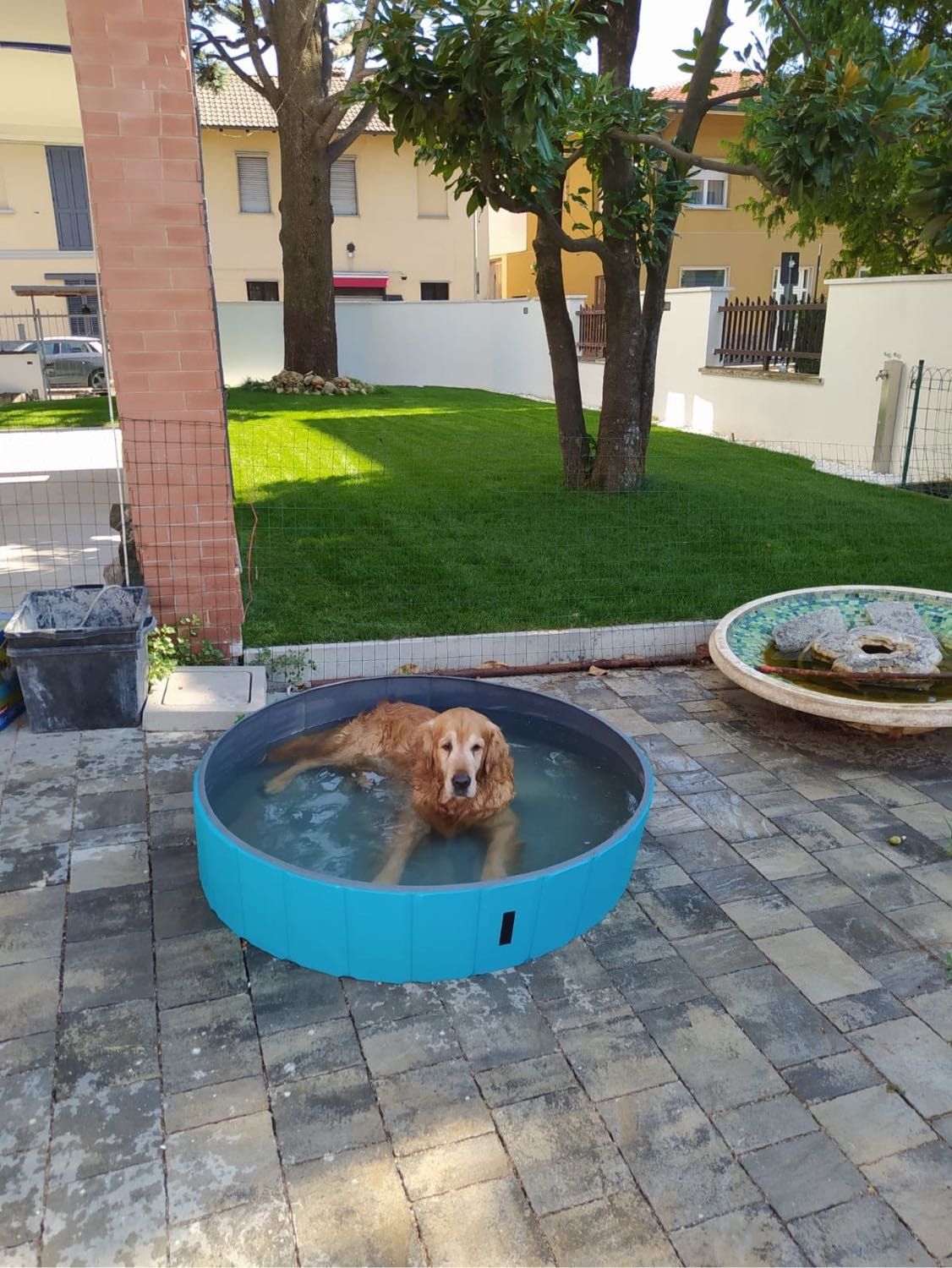 image-13