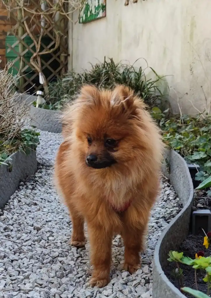 image-8