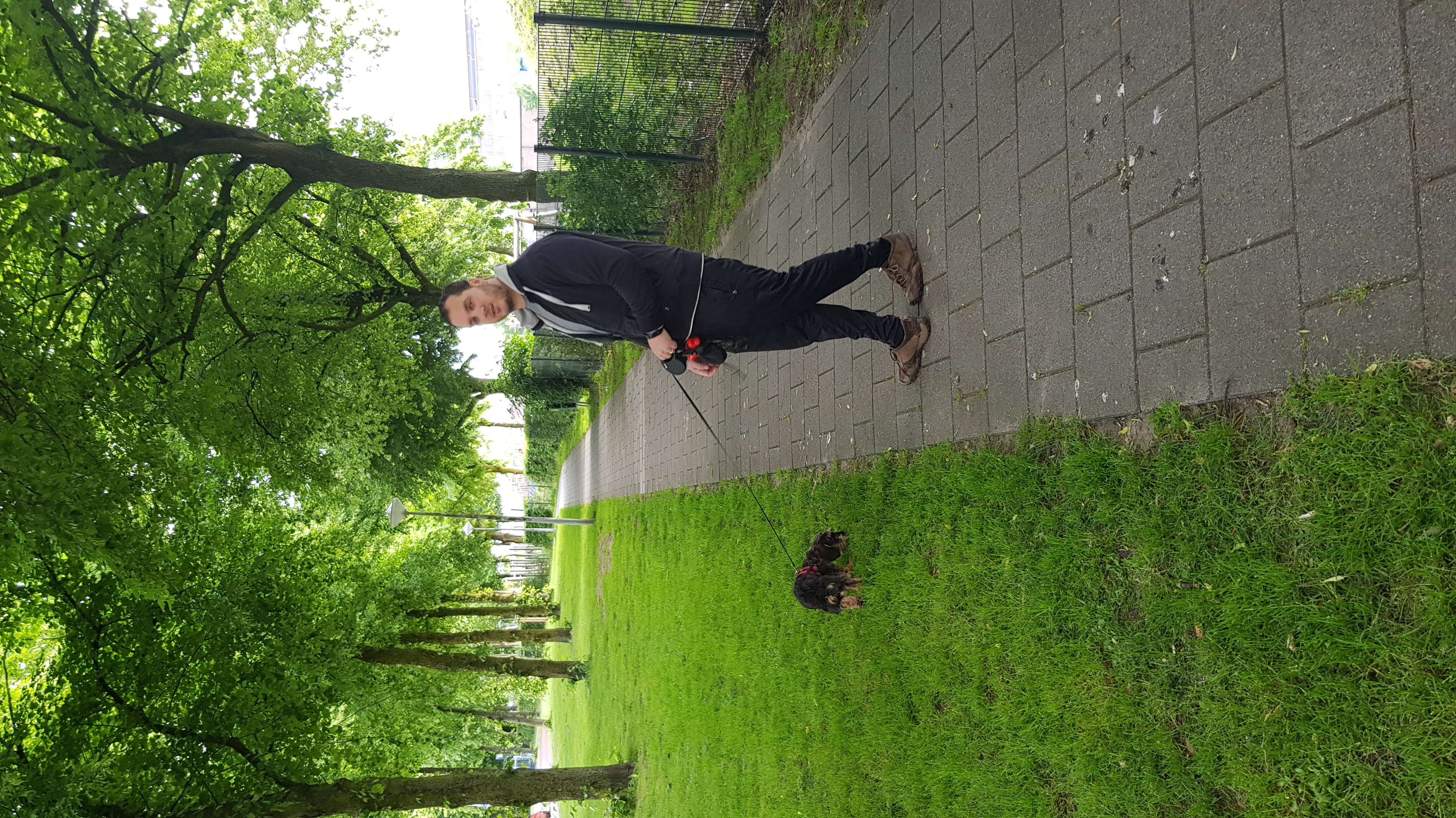 image-7