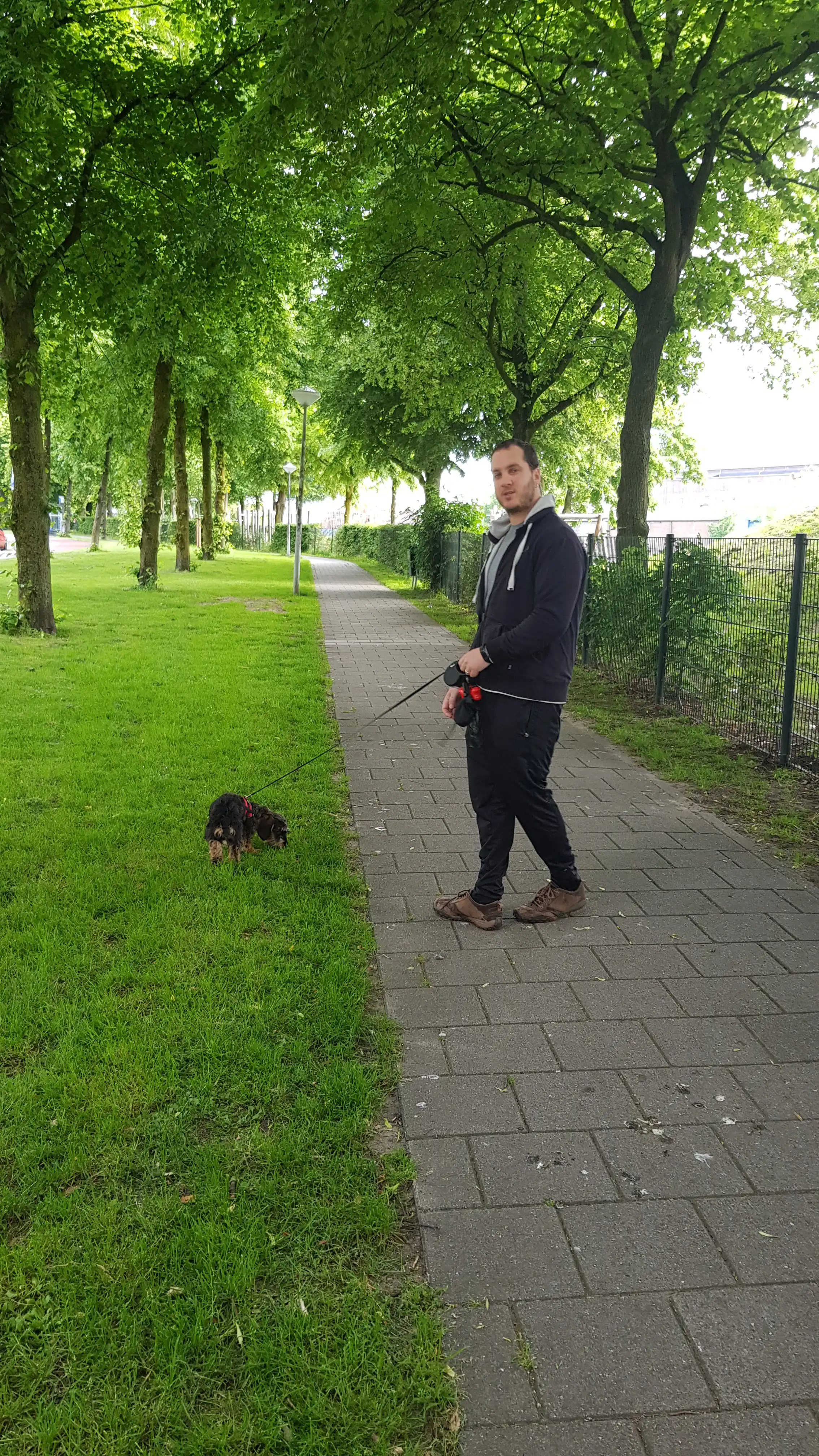 image-7