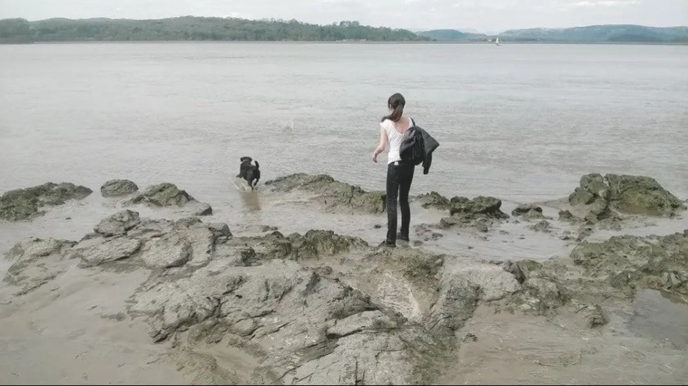 image-5