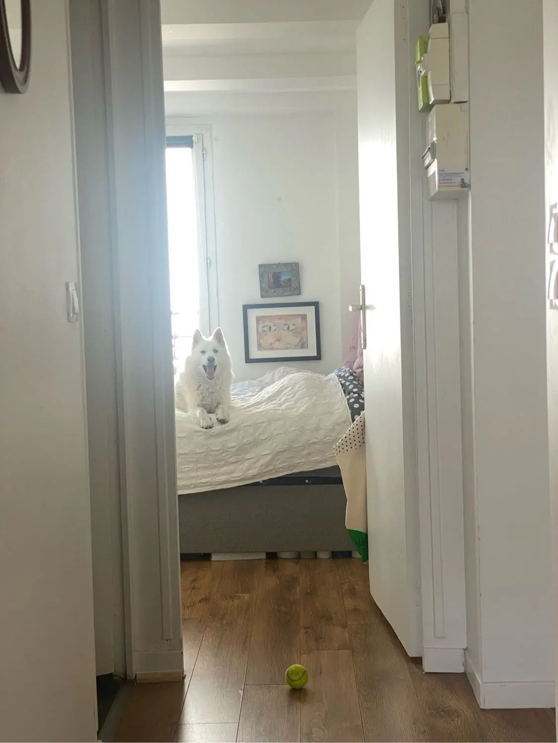 image-4